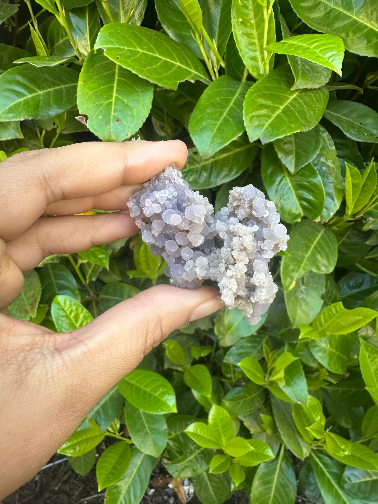 Grape Agate Cluster Crystals