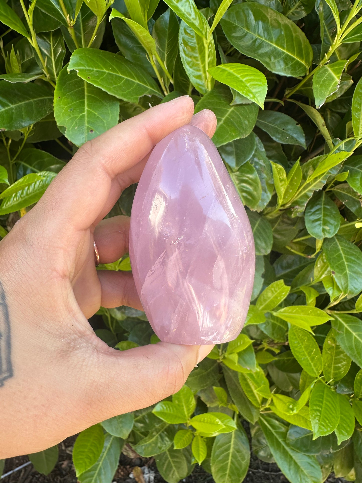 Rose Quartz Freeform Crystal Carving