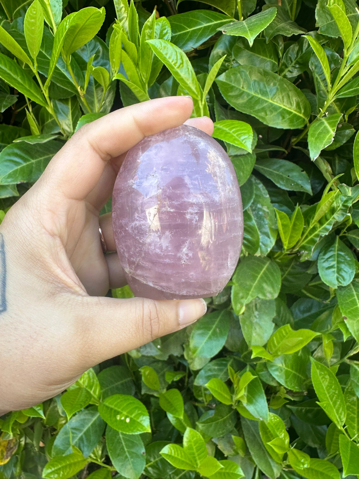 Rose Quartz Freeform Crystal Carving
