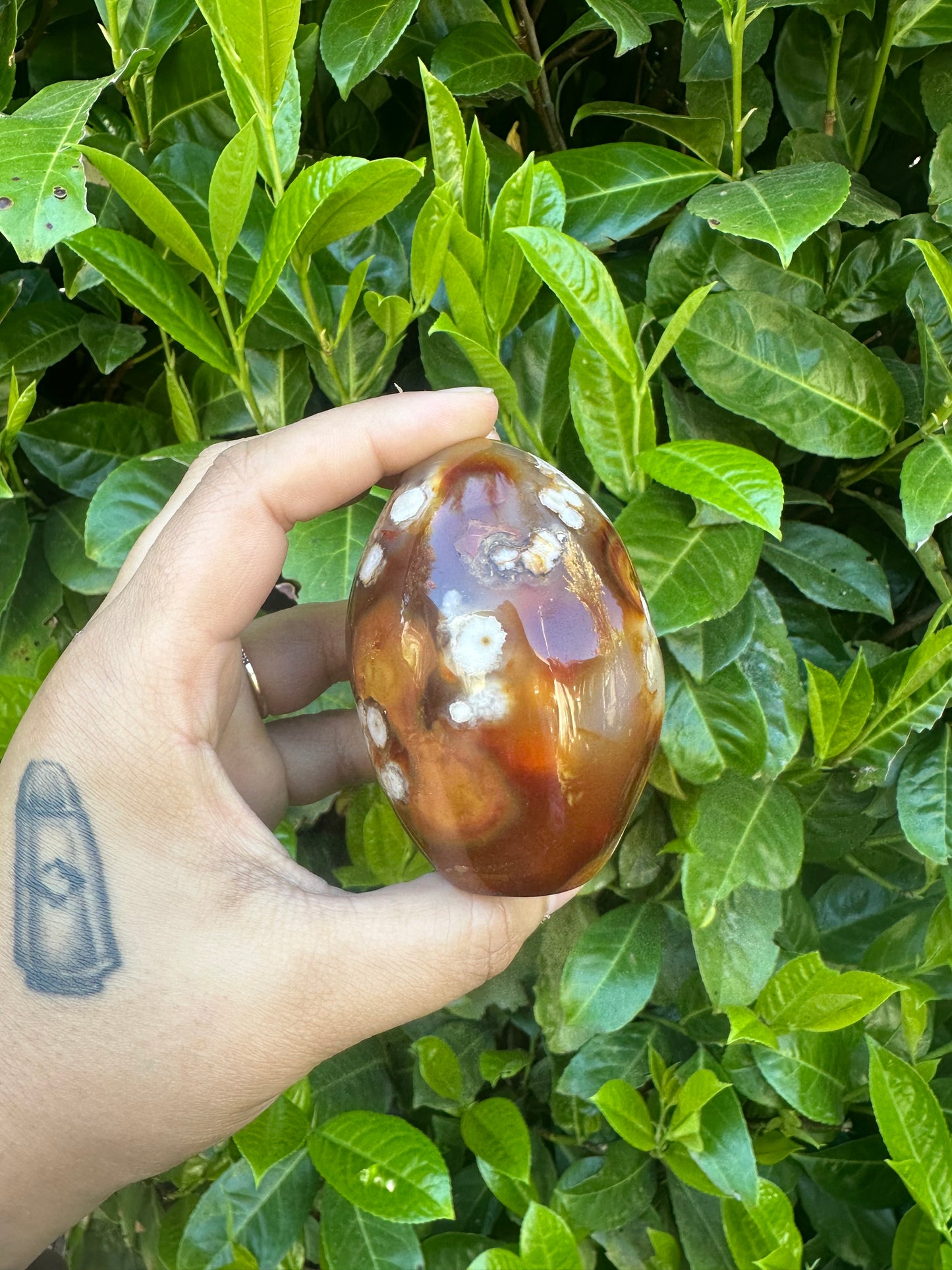 Carnelian Flower Agate Hybrid Freeform Crystal Carving