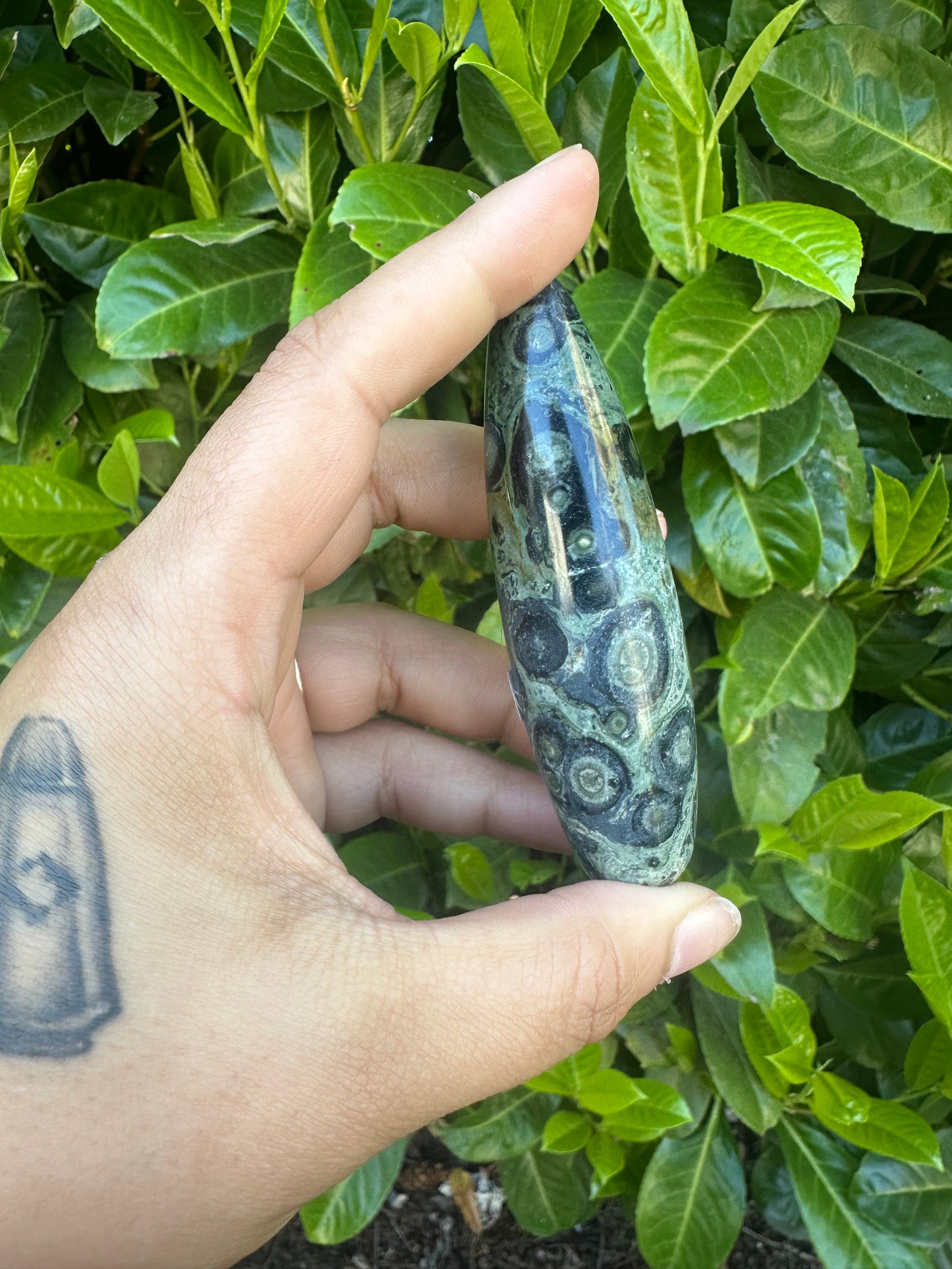 Kambaba Jasper Wand Crystal Carving