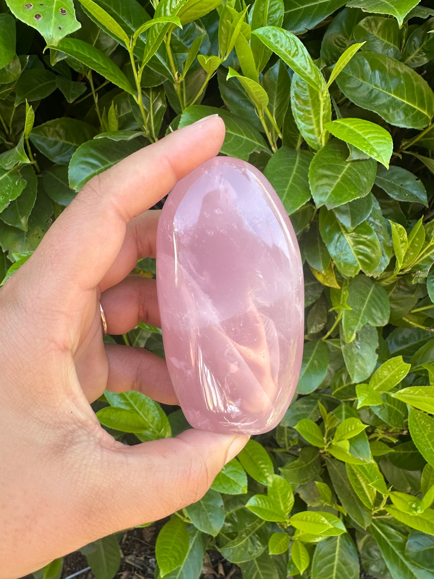 Rose Quartz Freeform Crystal Carving