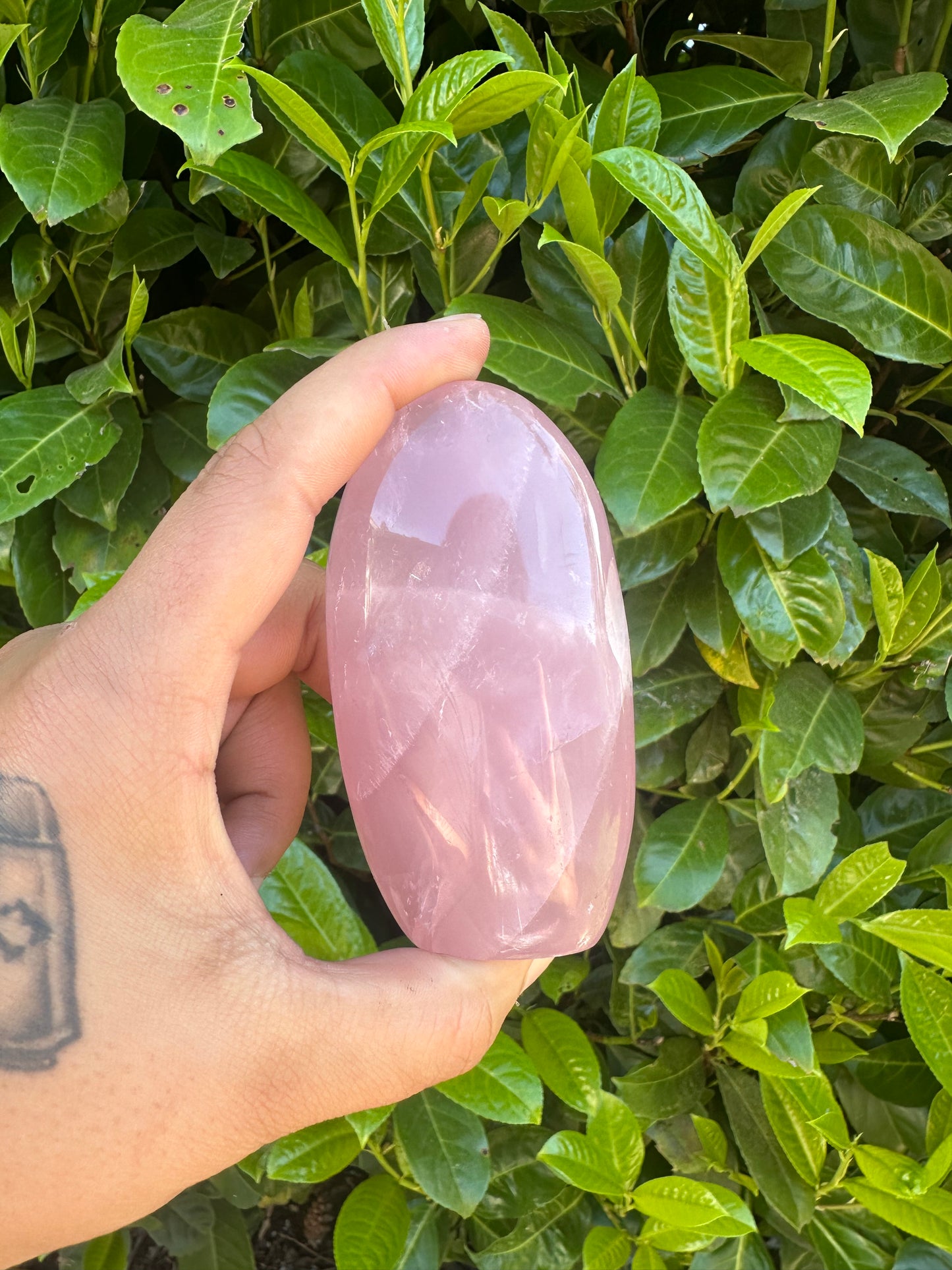 Rose Quartz Freeform Crystal Carving