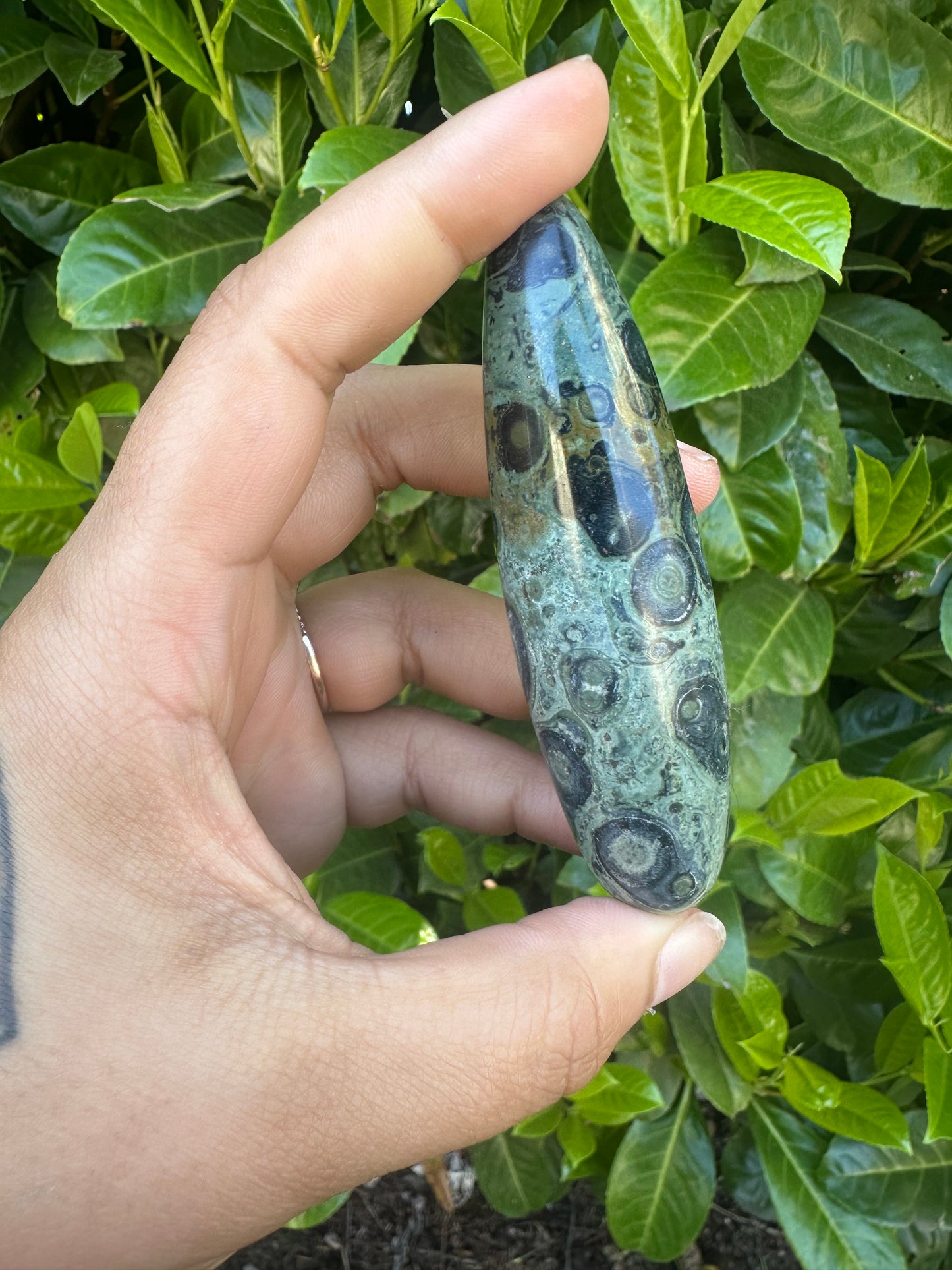 Kambaba Jasper Wand Crystal Carving
