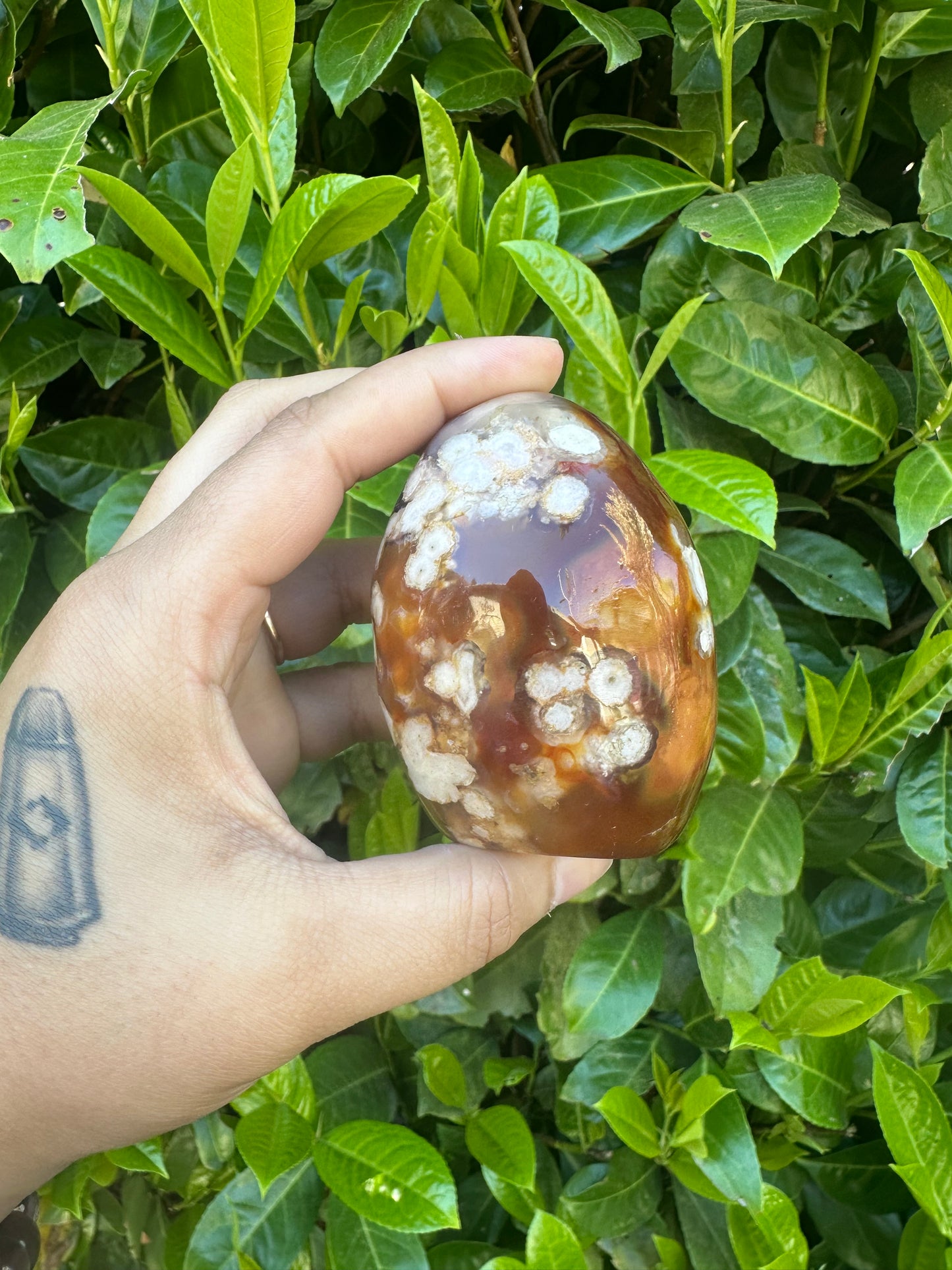 Carnelian Flower Agate Hybrid Freeform Crystal Carving