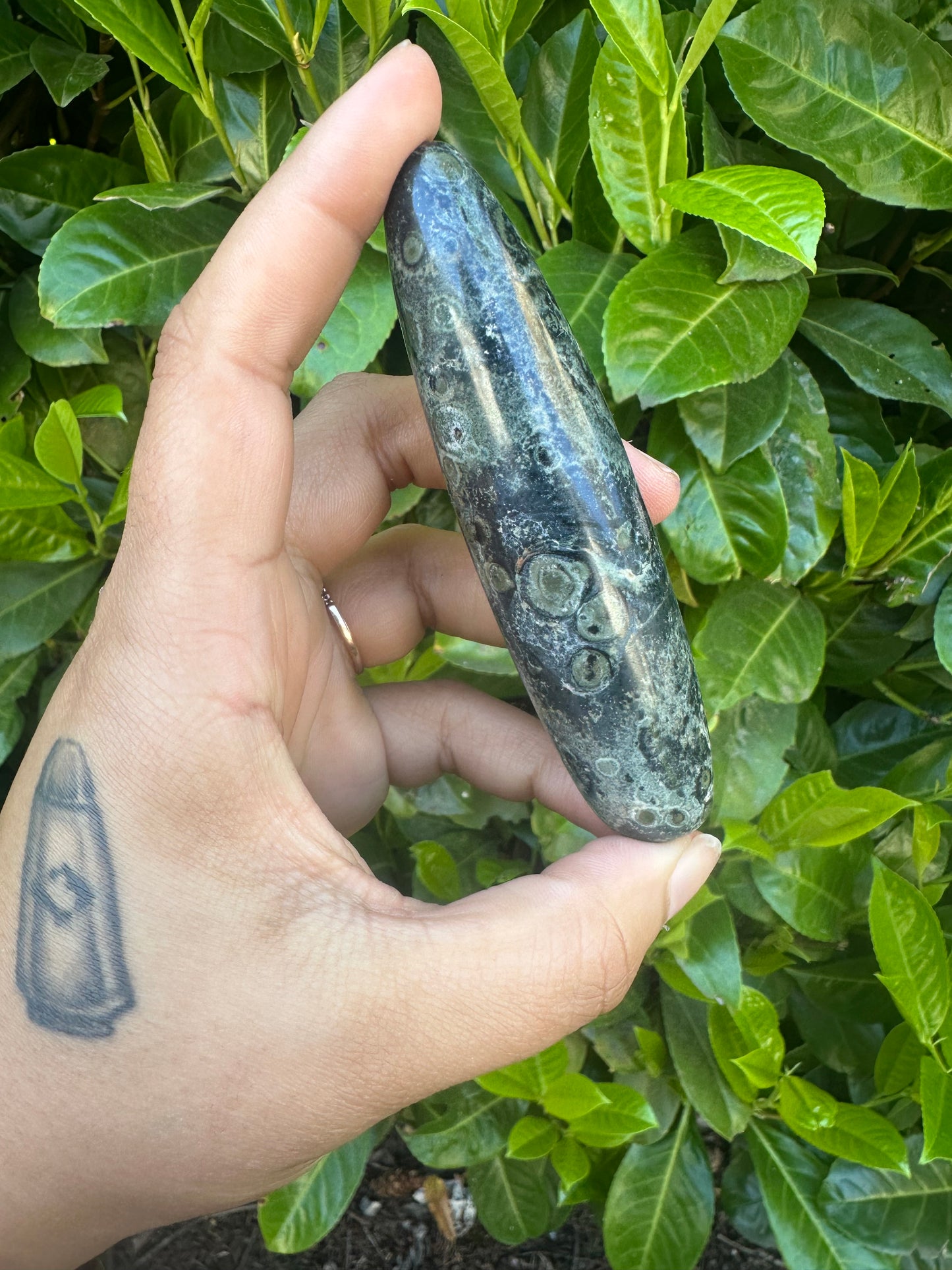 Kambaba Jasper Wand Crystal Carving