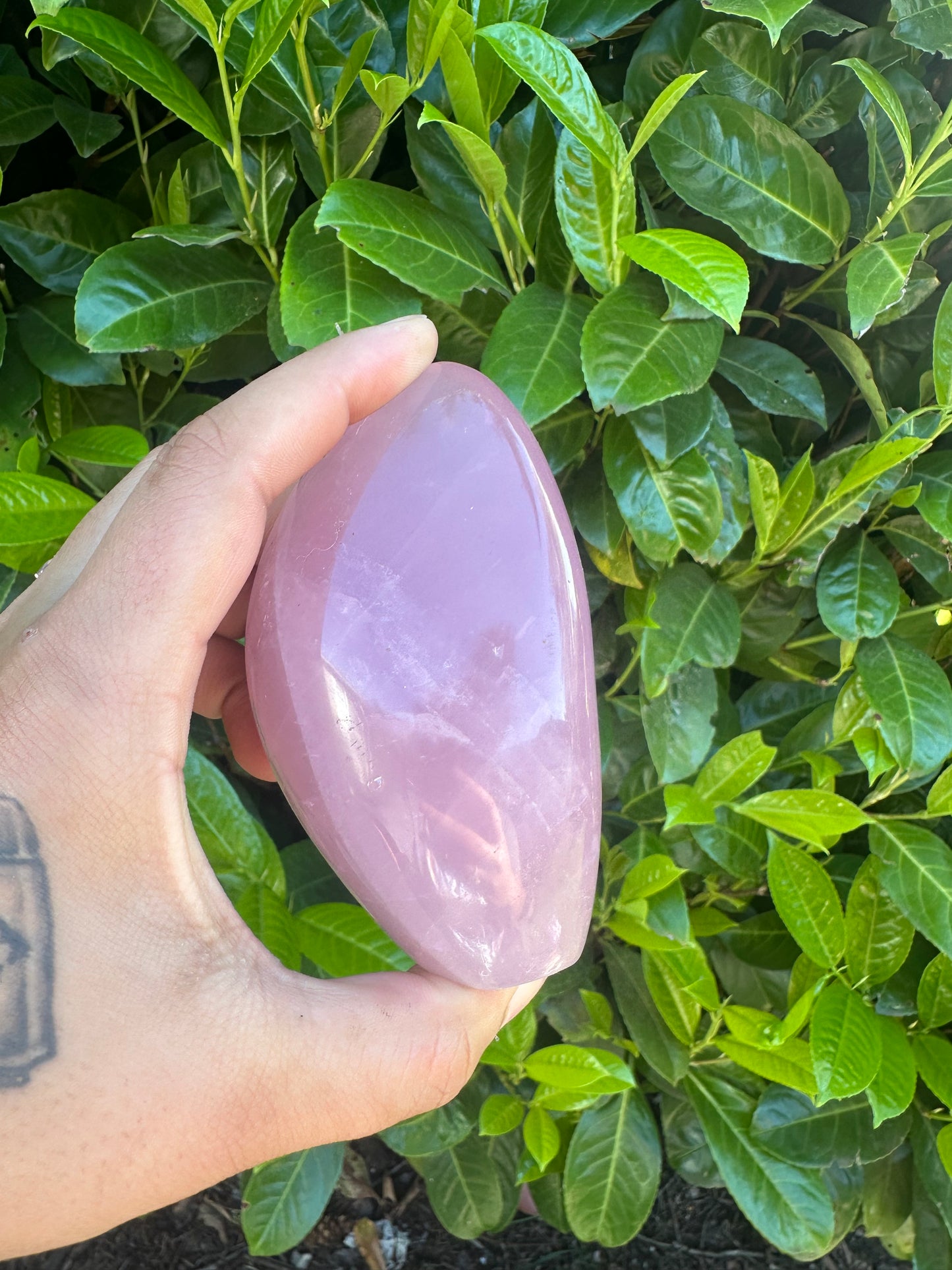 Rose Quartz Freeform Crystal Carving