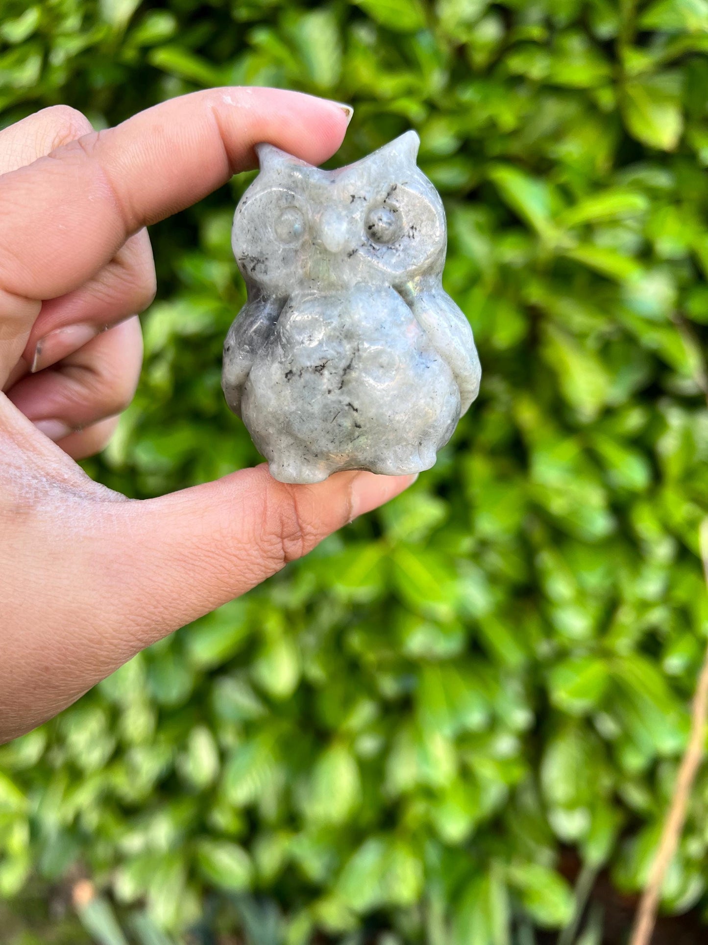Labradorite Owl Crystal Carving