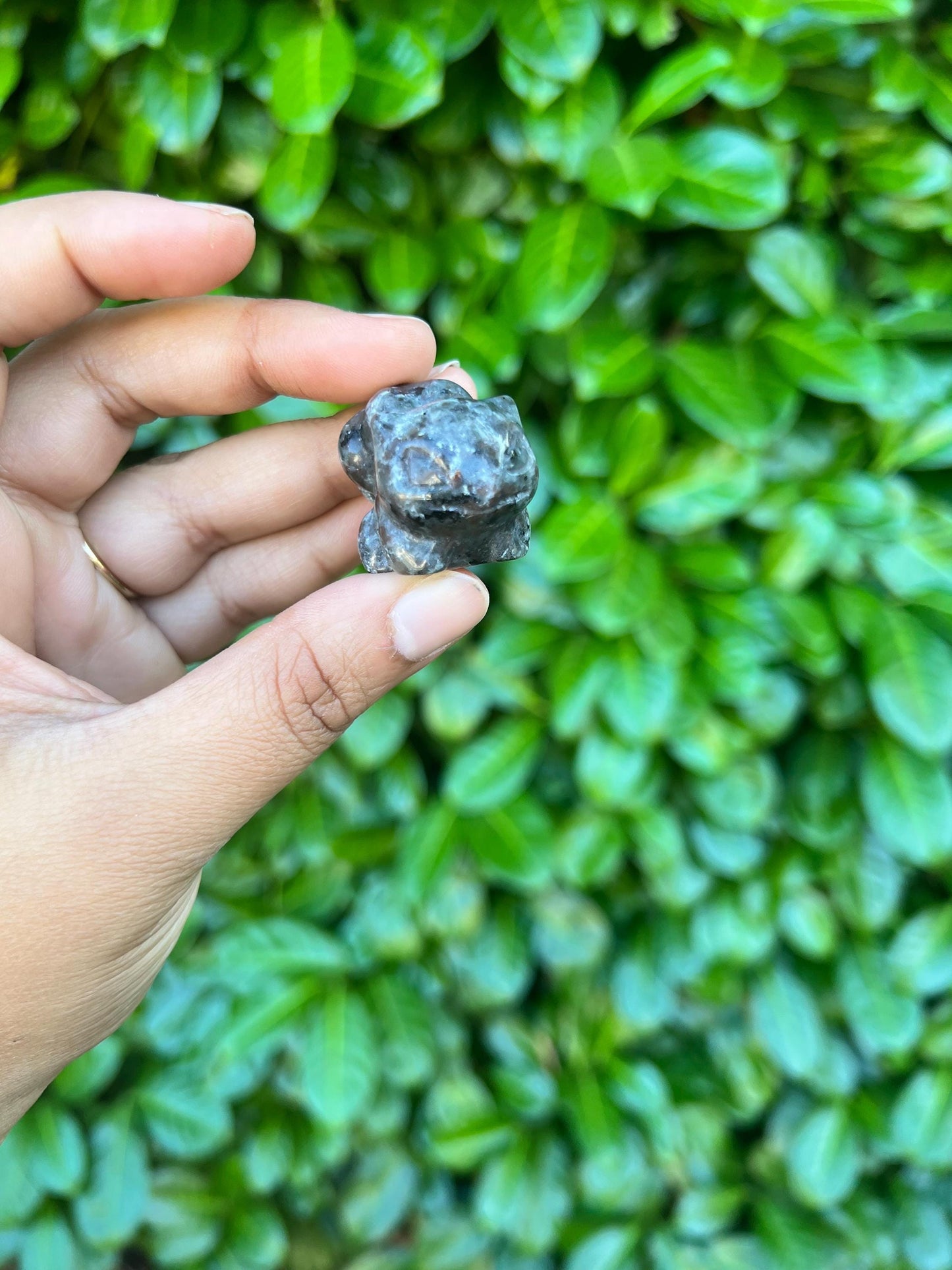 Larvikite 1in Bulbasaur Crystal Carving