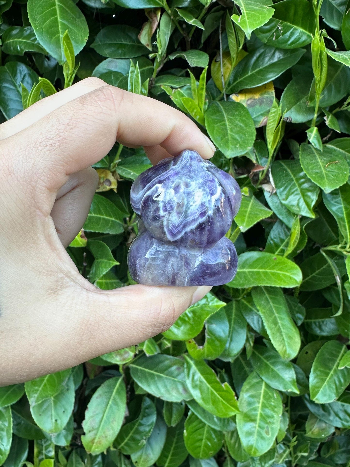 Dream Chevron Amethyst Bulbasaur Crystal Carving