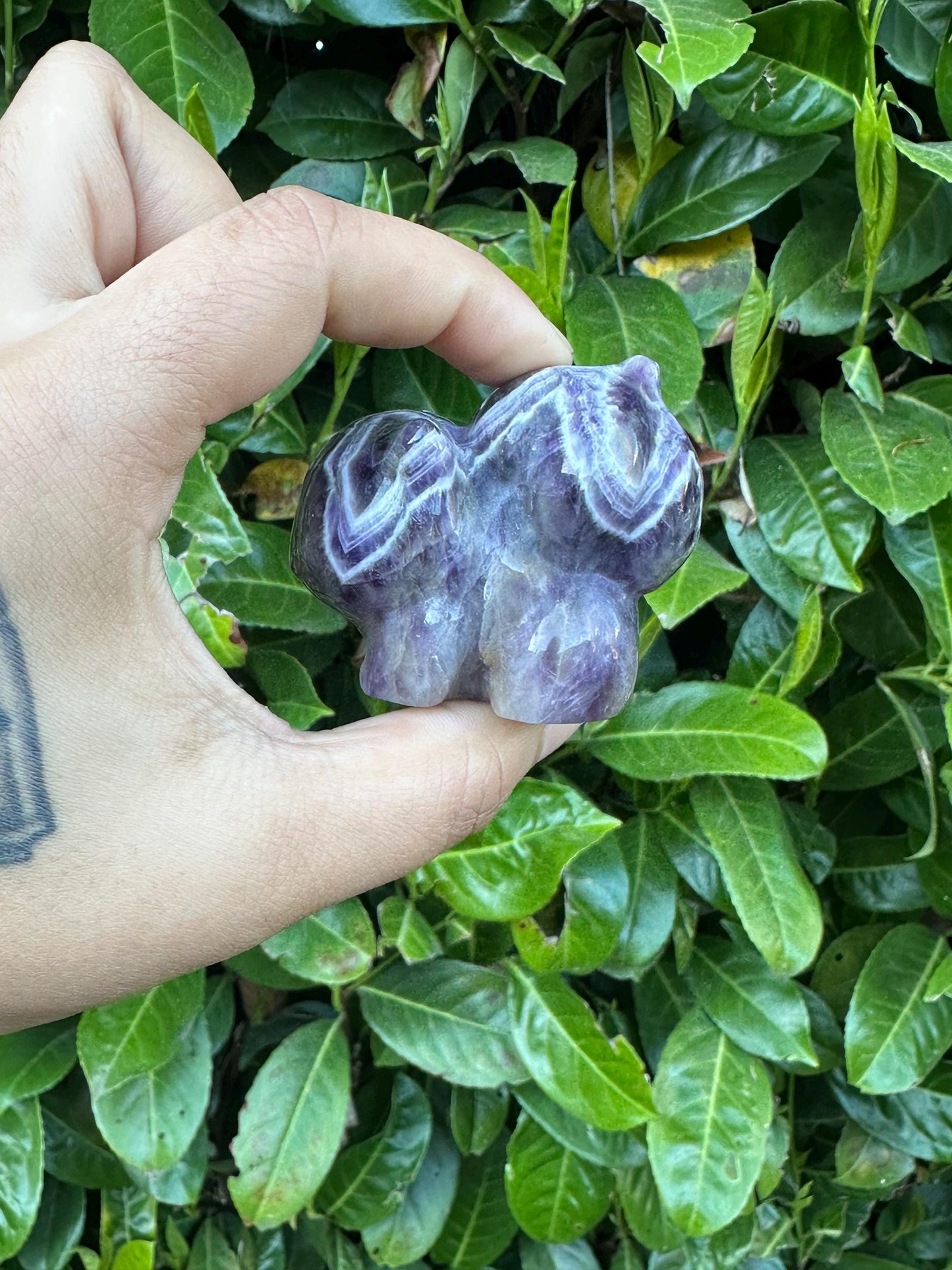 Dream Chevron Amethyst Bulbasaur Crystal Carving