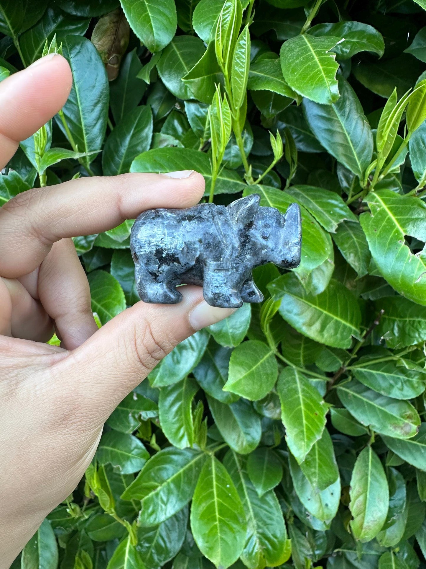 Larvikite Rhino Crystal Carving