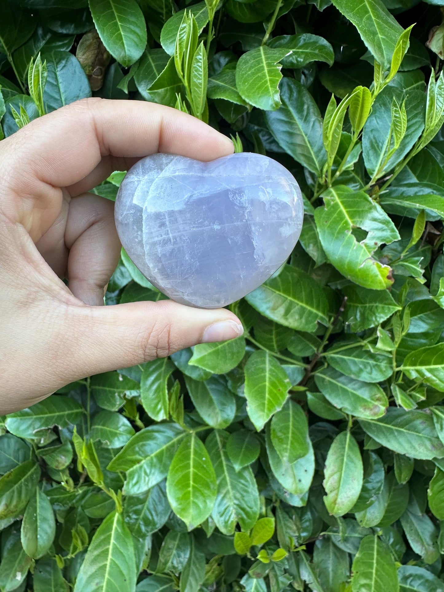 Blue Rose Quartz Heart Crystal Carving