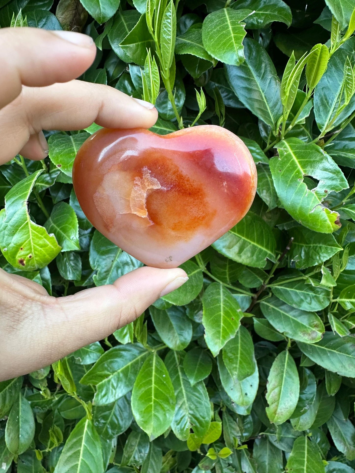 Carnelian Heart Crystal Carving