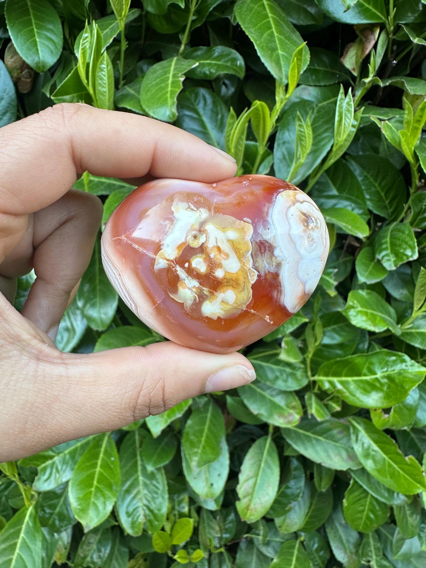 Carnelian Puffy Heart Crystal Carving