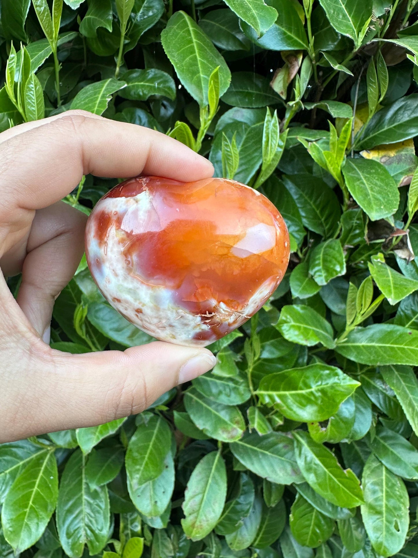 Carnelian Puffy Heart Crystal Carving