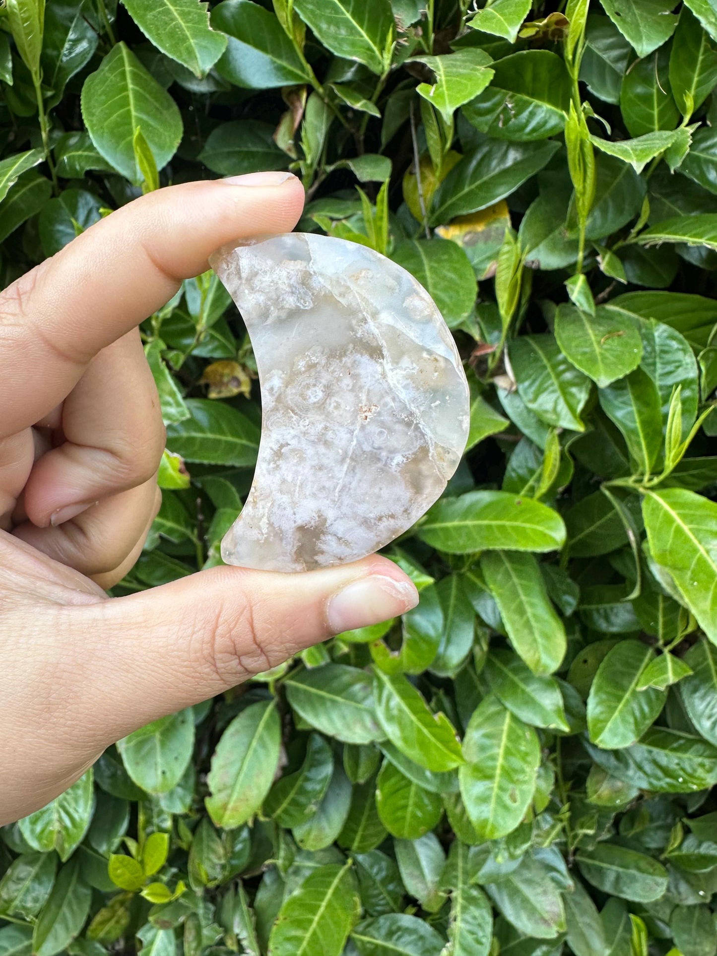 Flower Agate Crescent Moon Crystal Carving