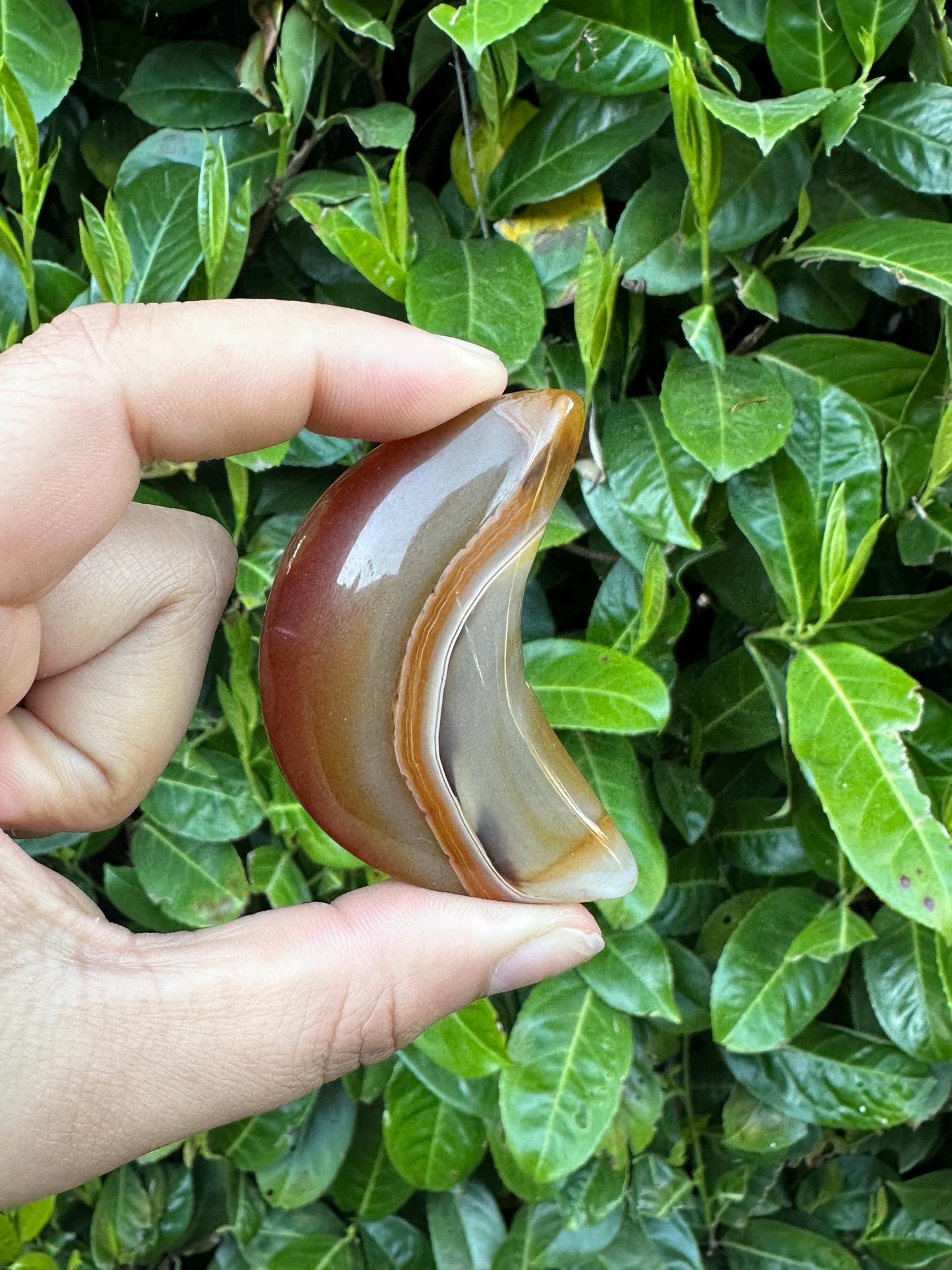 Carnelian Puffy Crescent Moon Crystal Carving