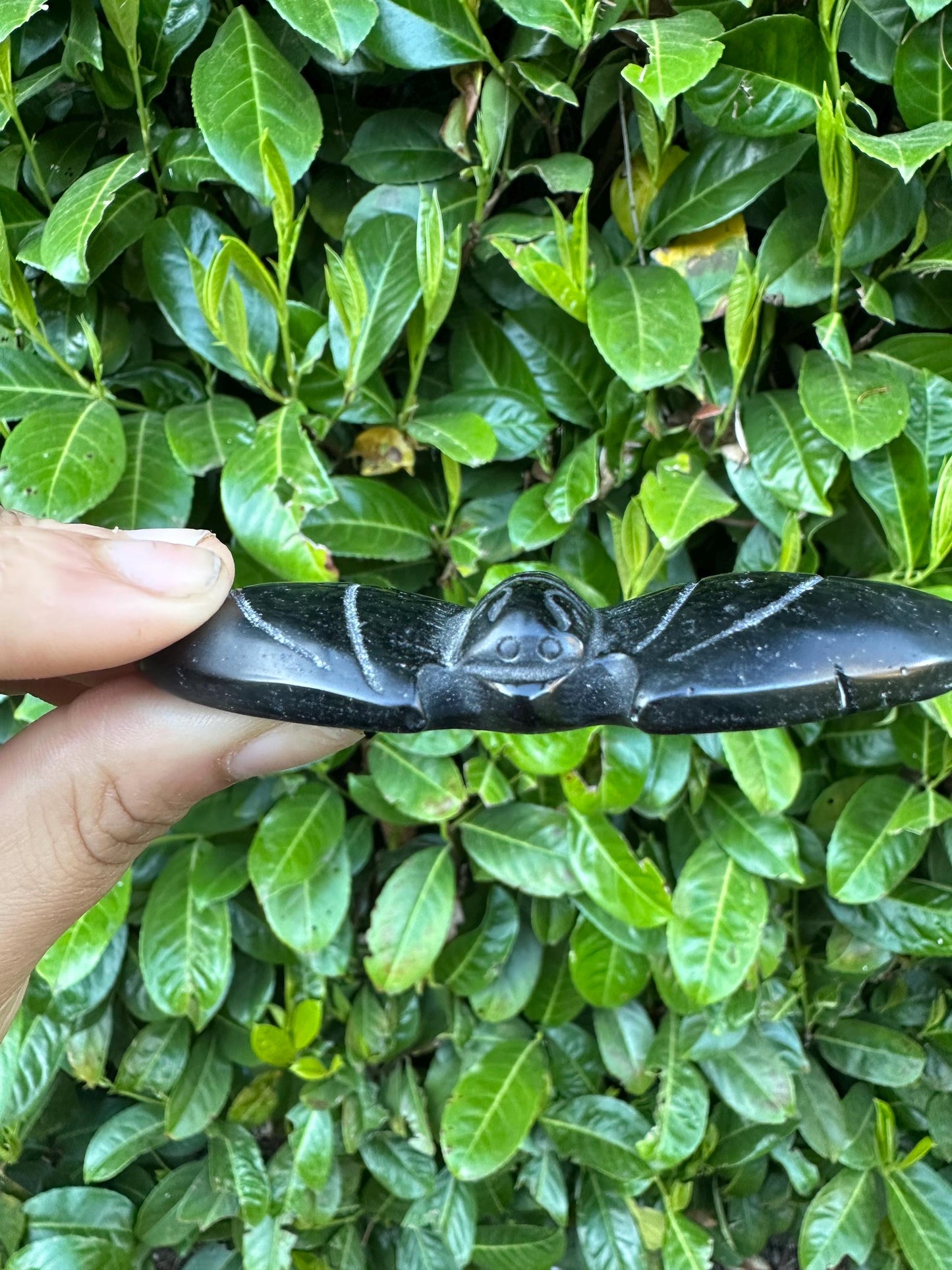 Black Obsidian Bat Crystal Carving