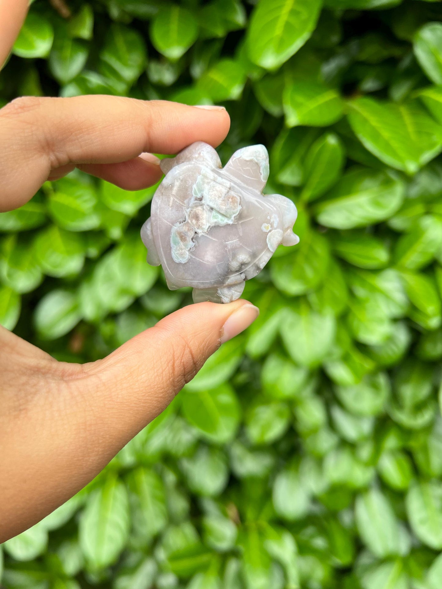 Flower Agate Turtle Crystal Carving