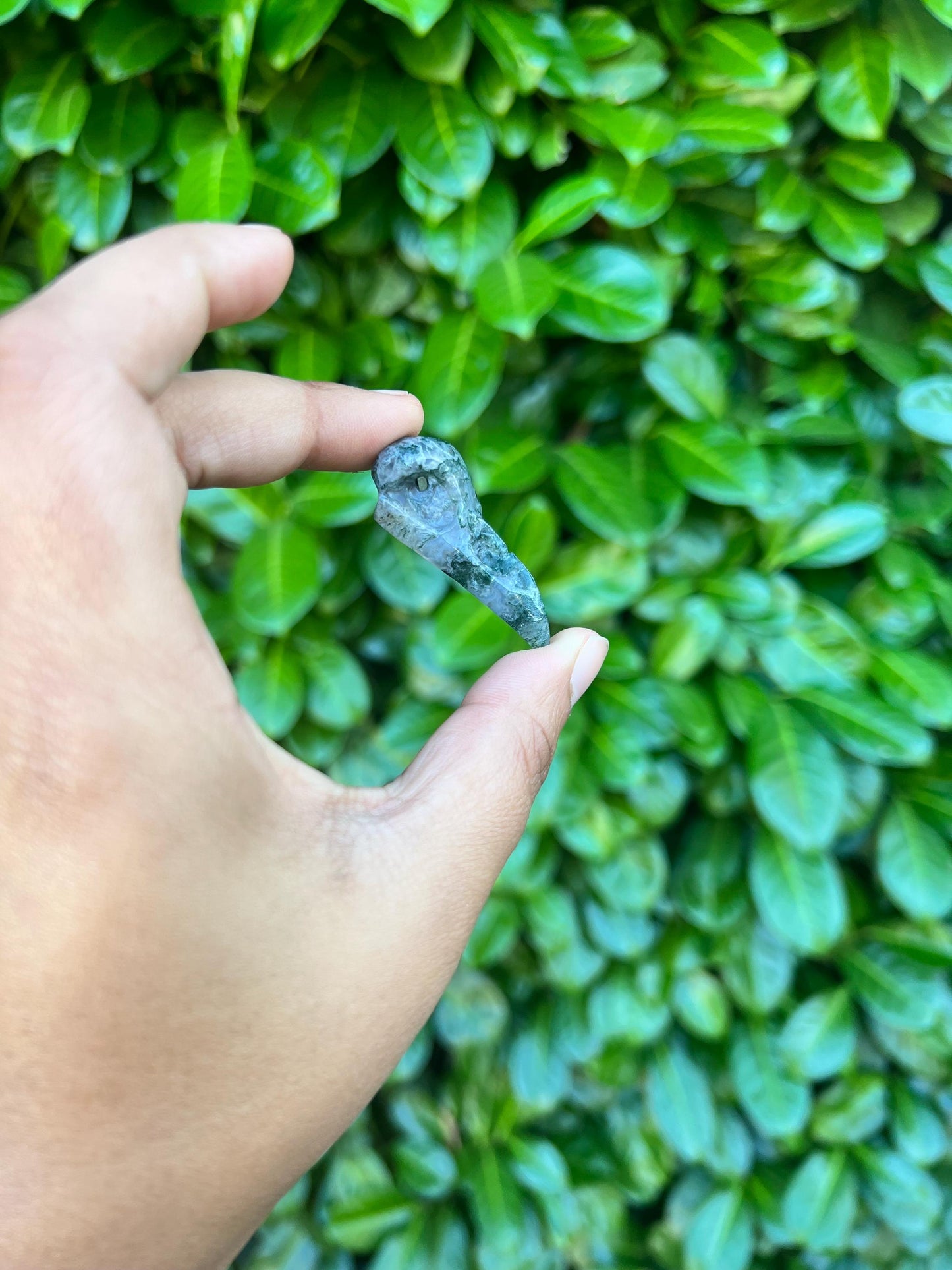 Raven Skull Crystal Carving