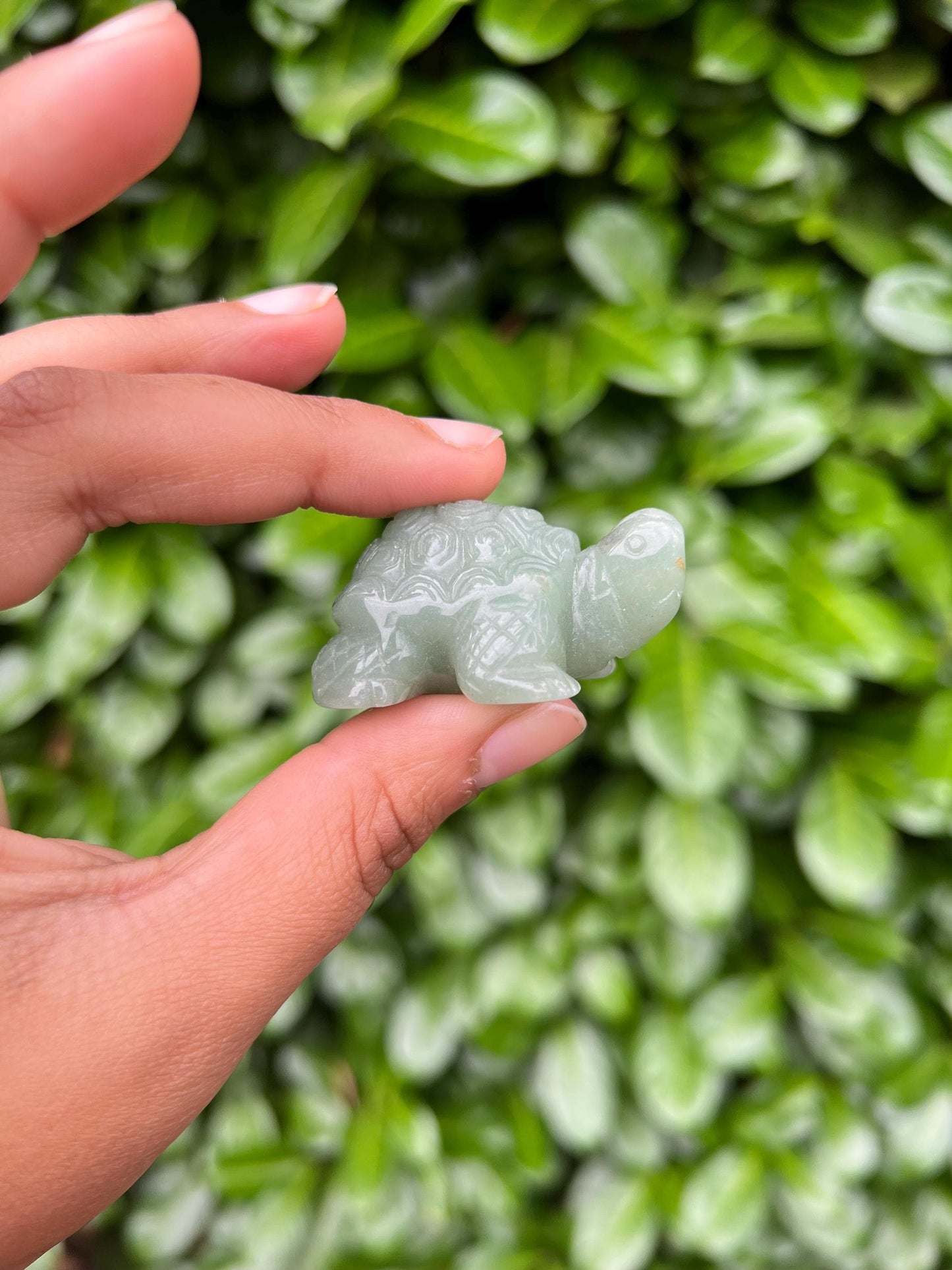 Green Jade Turtle Crystal Carving