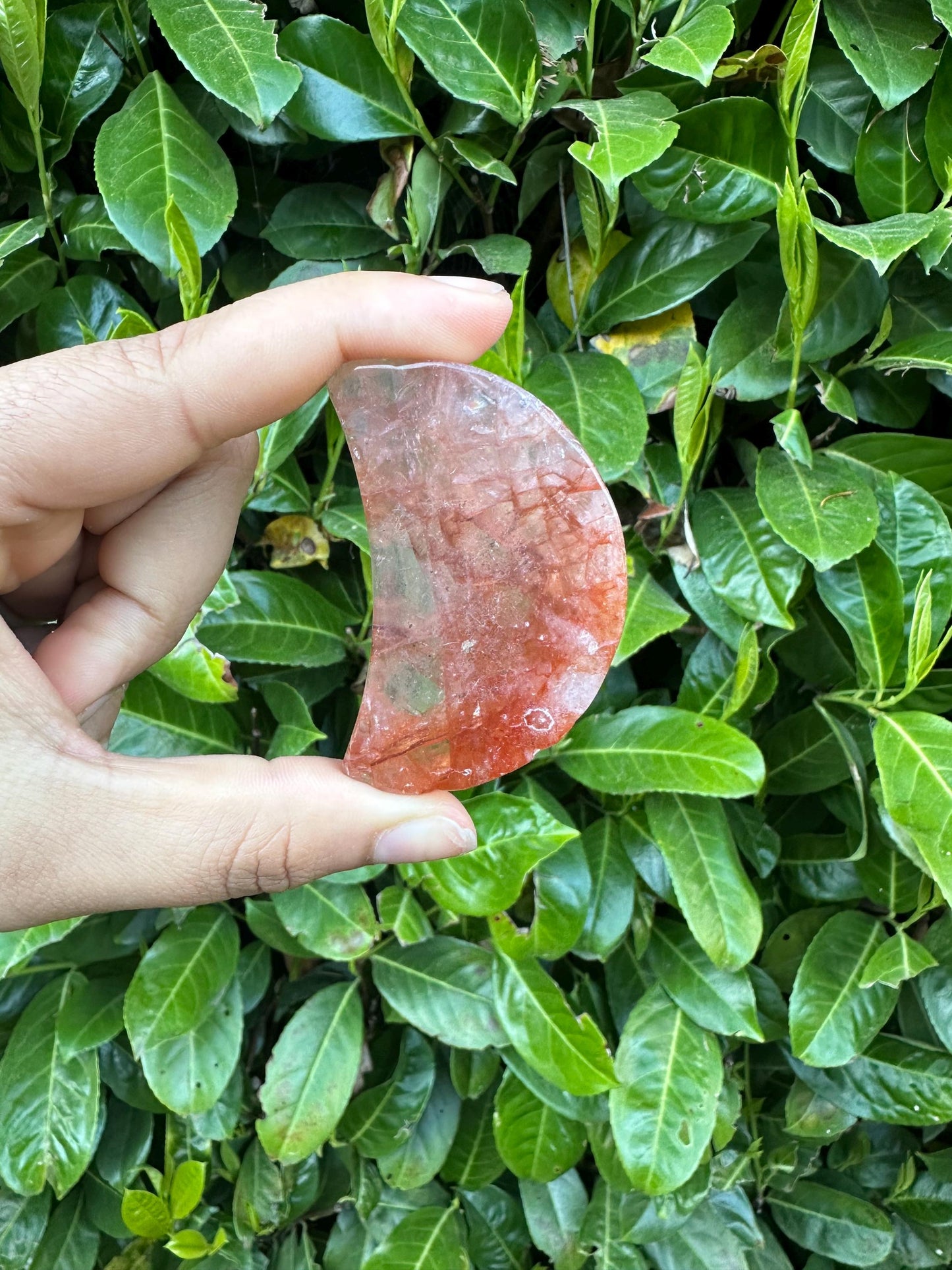 Fire Quartz Small Crescent Moon Bowl Carving