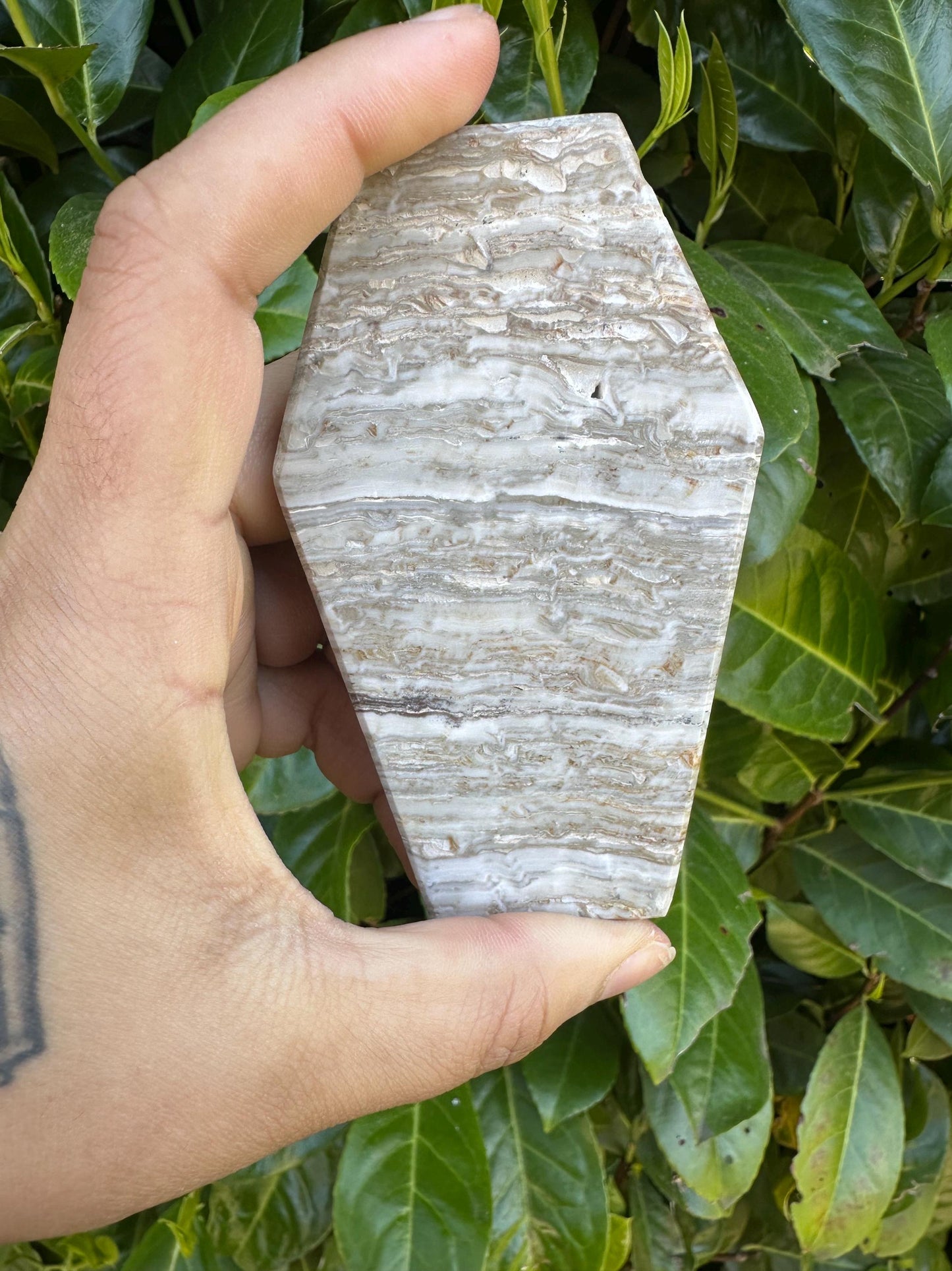 Mexican Banded Jalisco Onyx Coffin Shape Crystal Carving