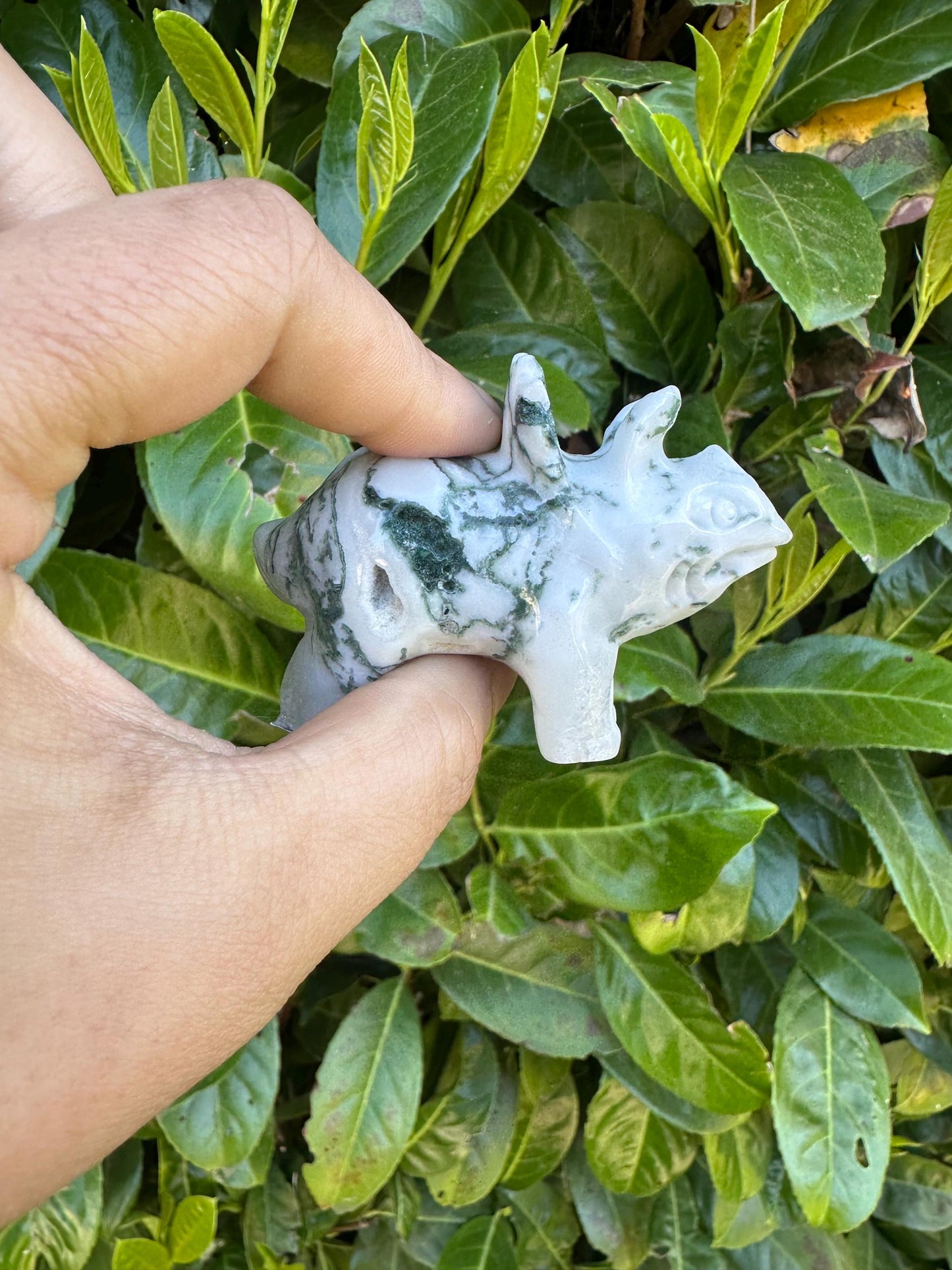 Moss Agate Triceratops Crystal Carving