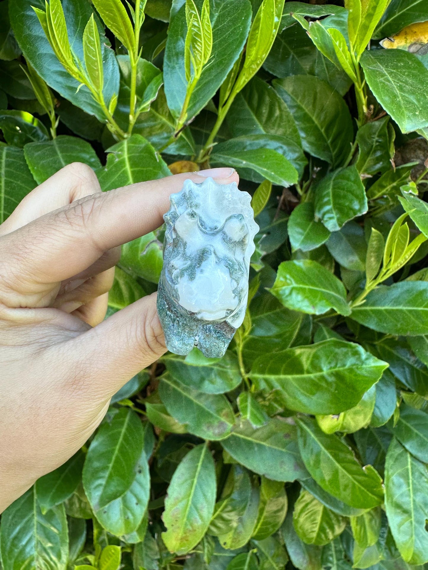 Moss Agate Triceratops Crystal Carving