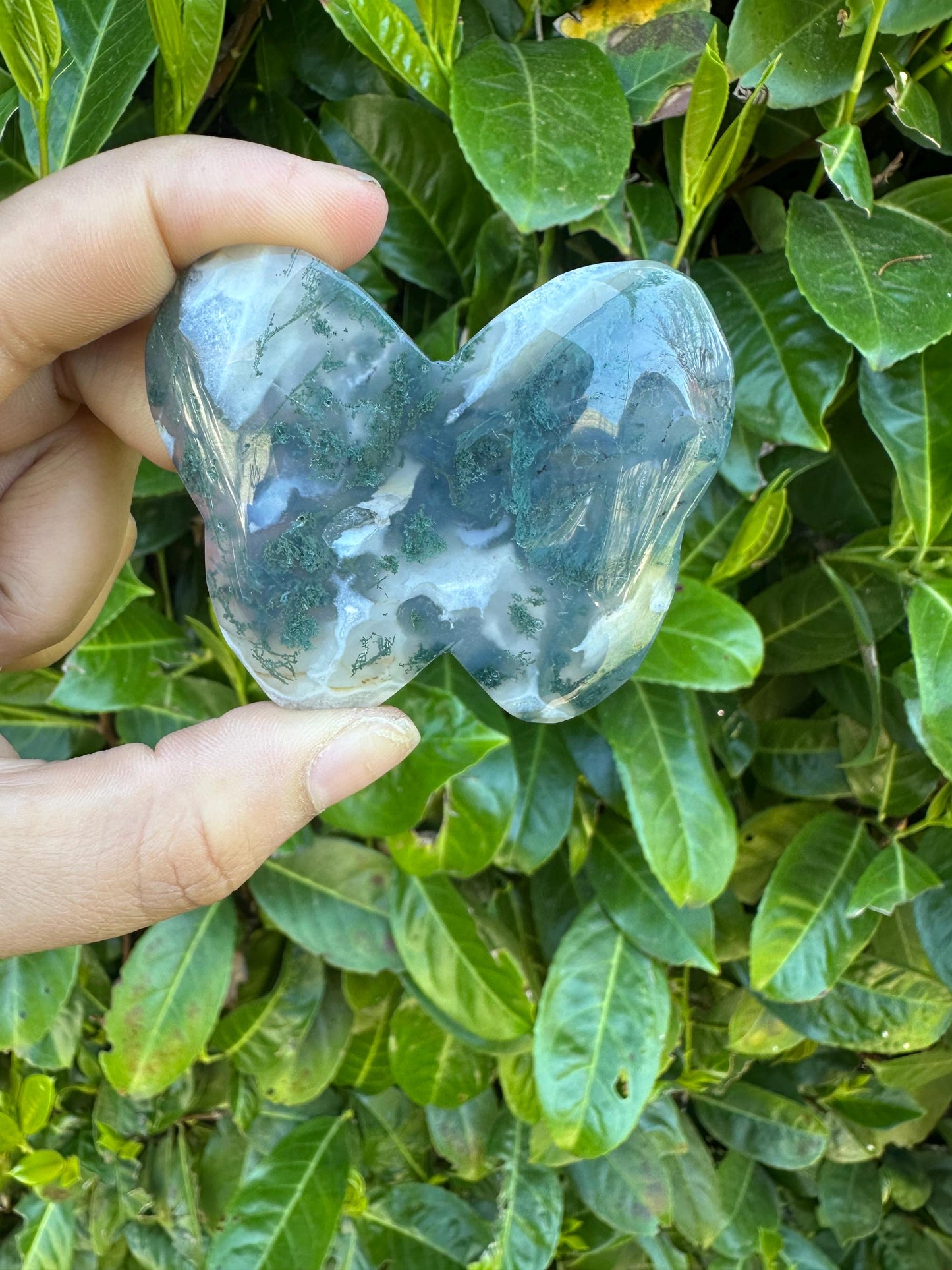 Moss Agate Butterfly Crystal Carving