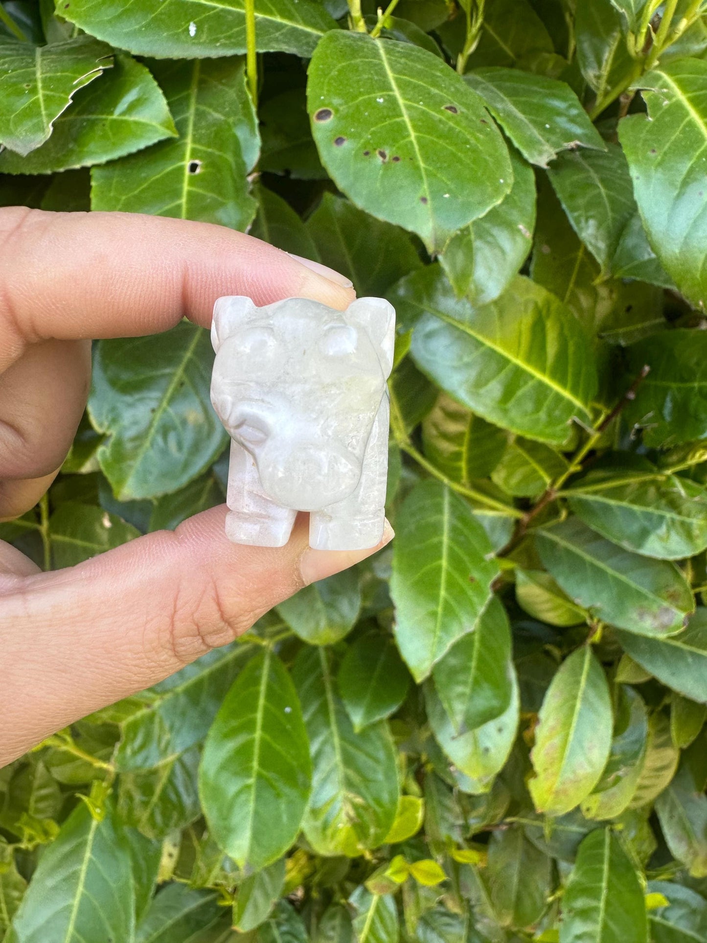 Flower Agate Bull Crystal Carving