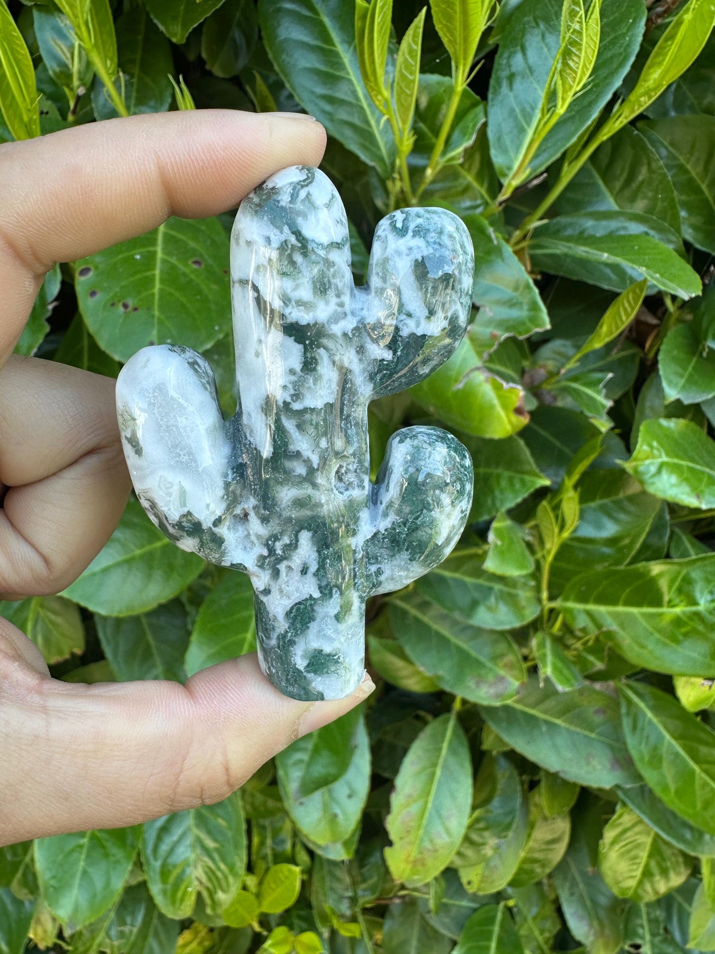Cactus Crystal Carvings, Moss Agate and Lepidolite