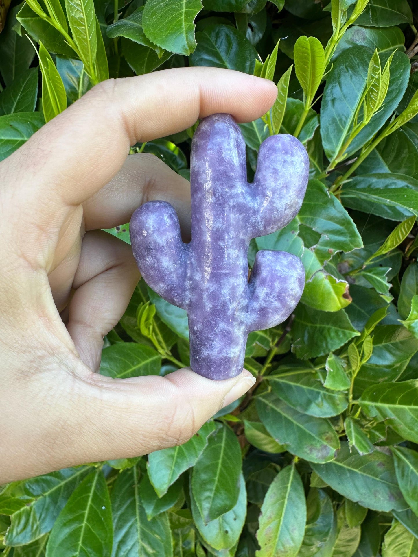 Cactus Crystal Carvings, Moss Agate and Lepidolite