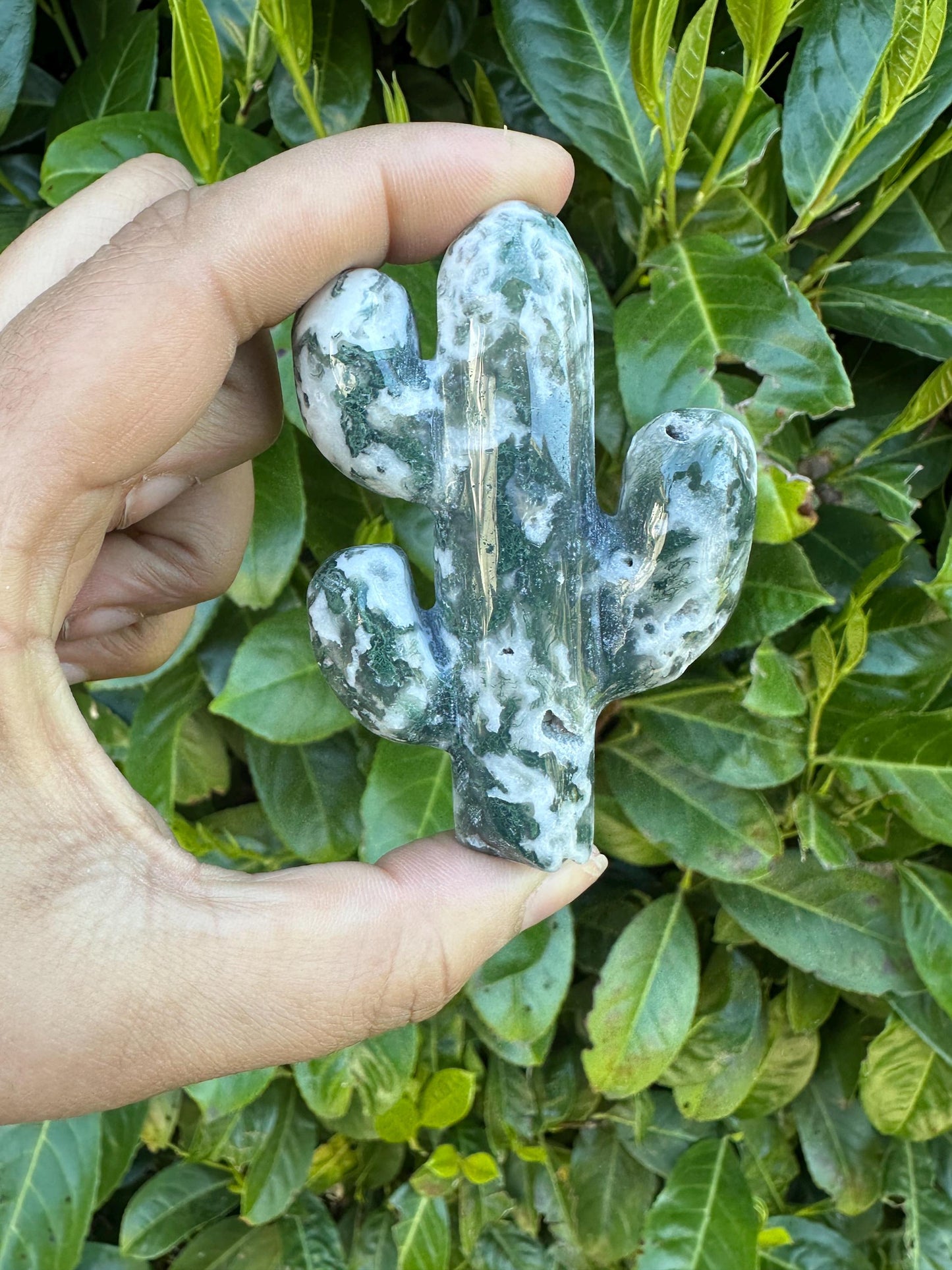 Cactus Crystal Carvings, Moss Agate and Lepidolite