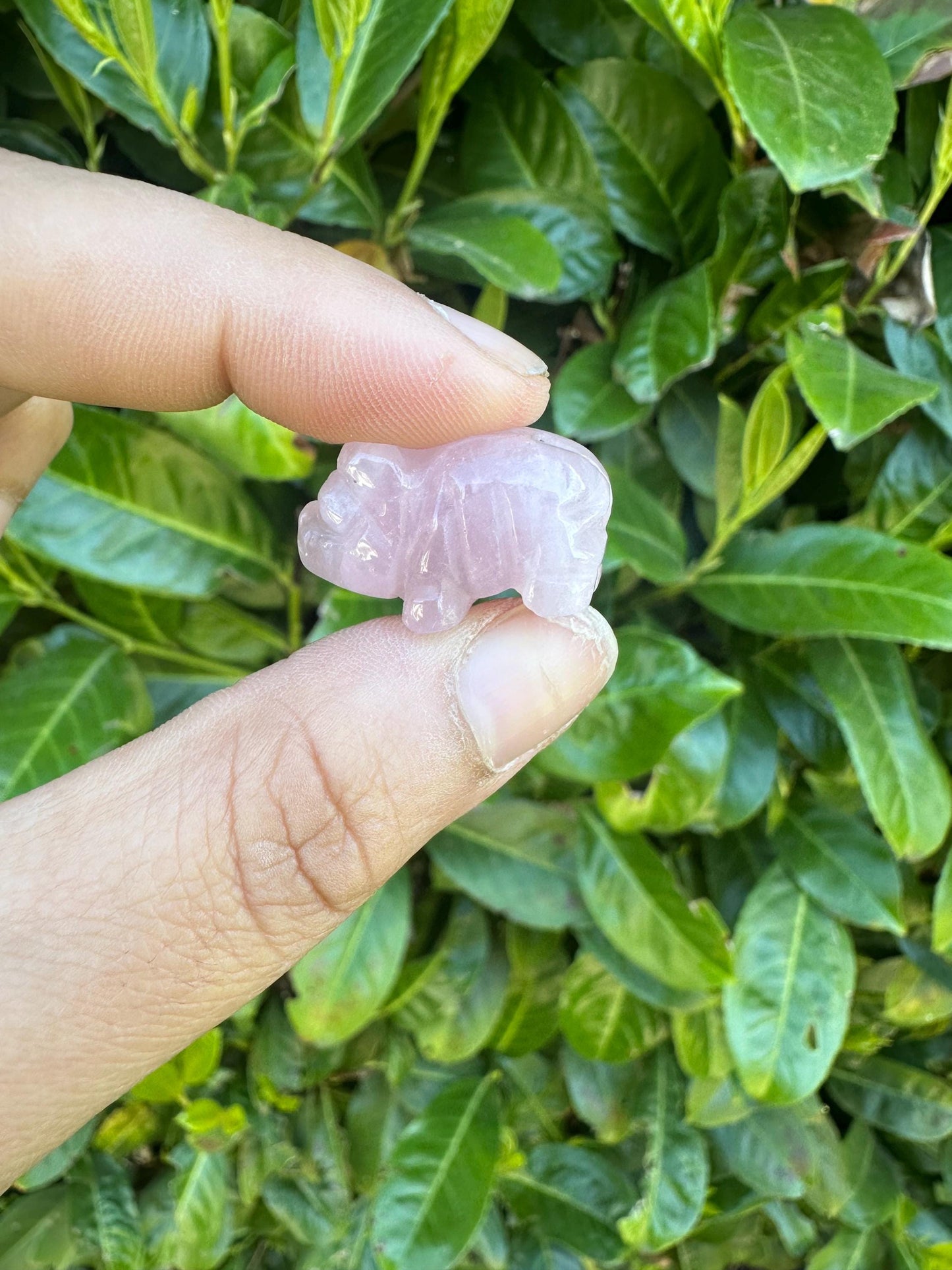 Mini Rose Quartz Pig Crystal Carvings