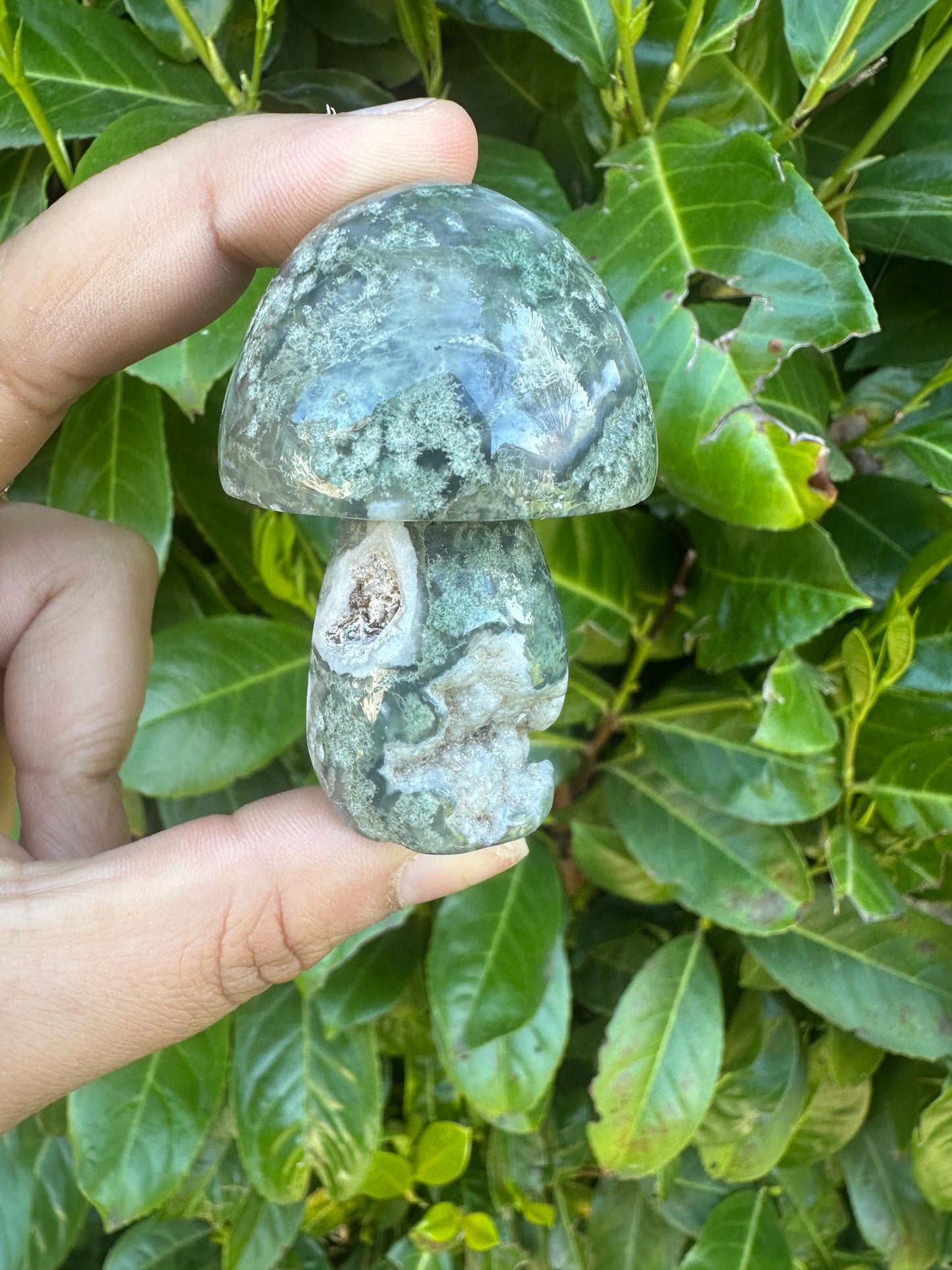 Moss Agate Mushroom Crystal Carving