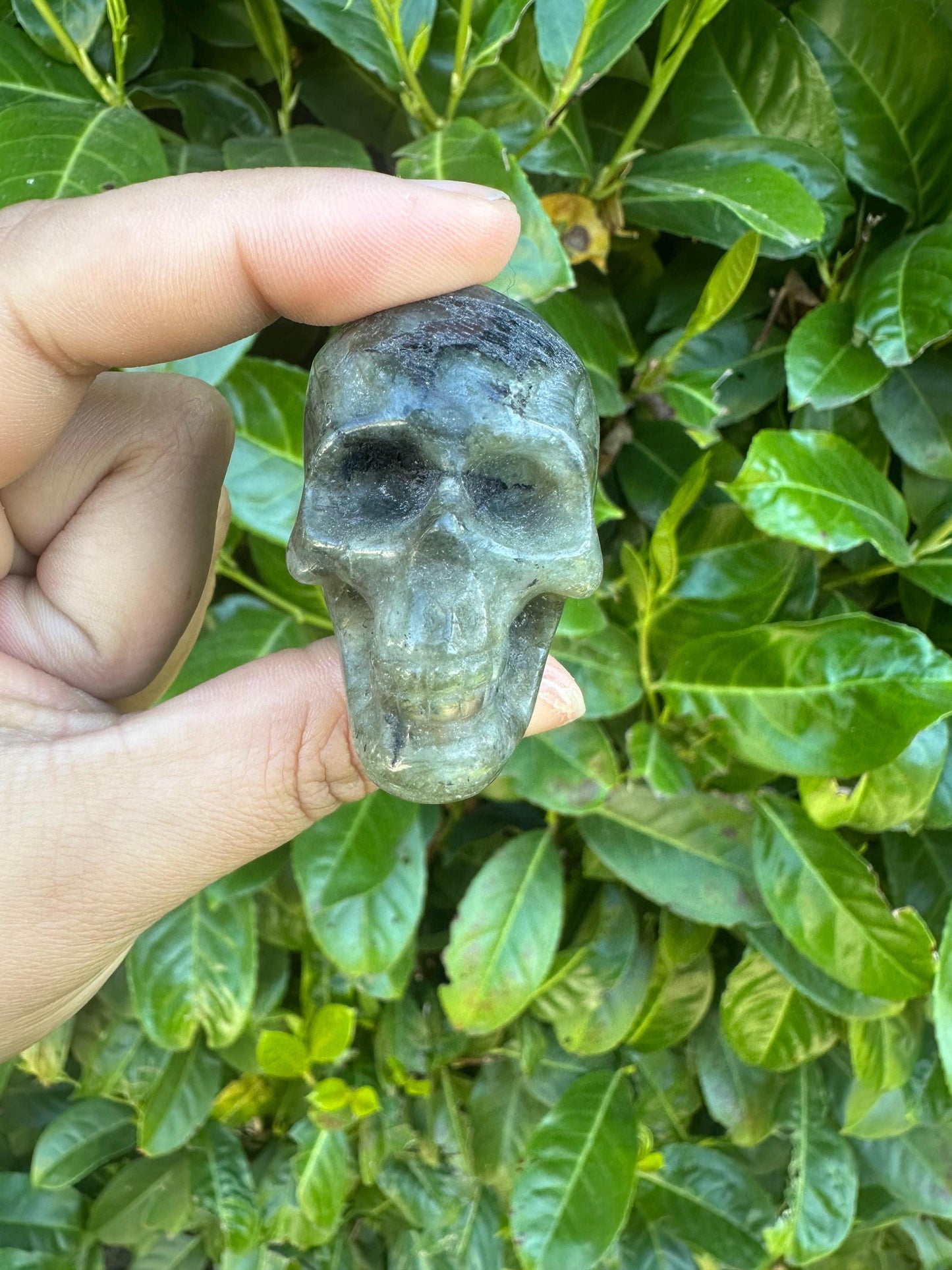 Skull Crystal Carvings