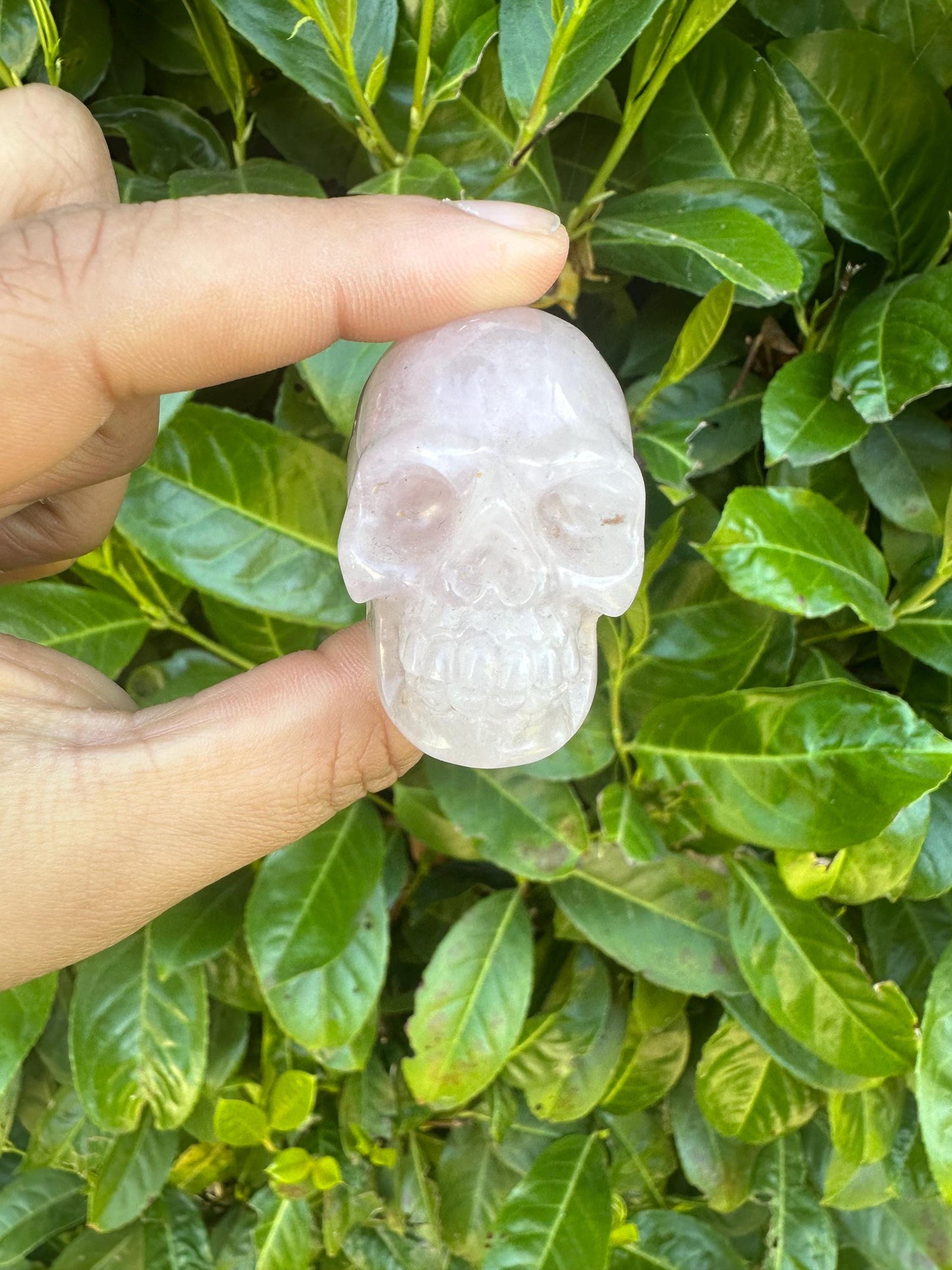 Skull Crystal Carvings
