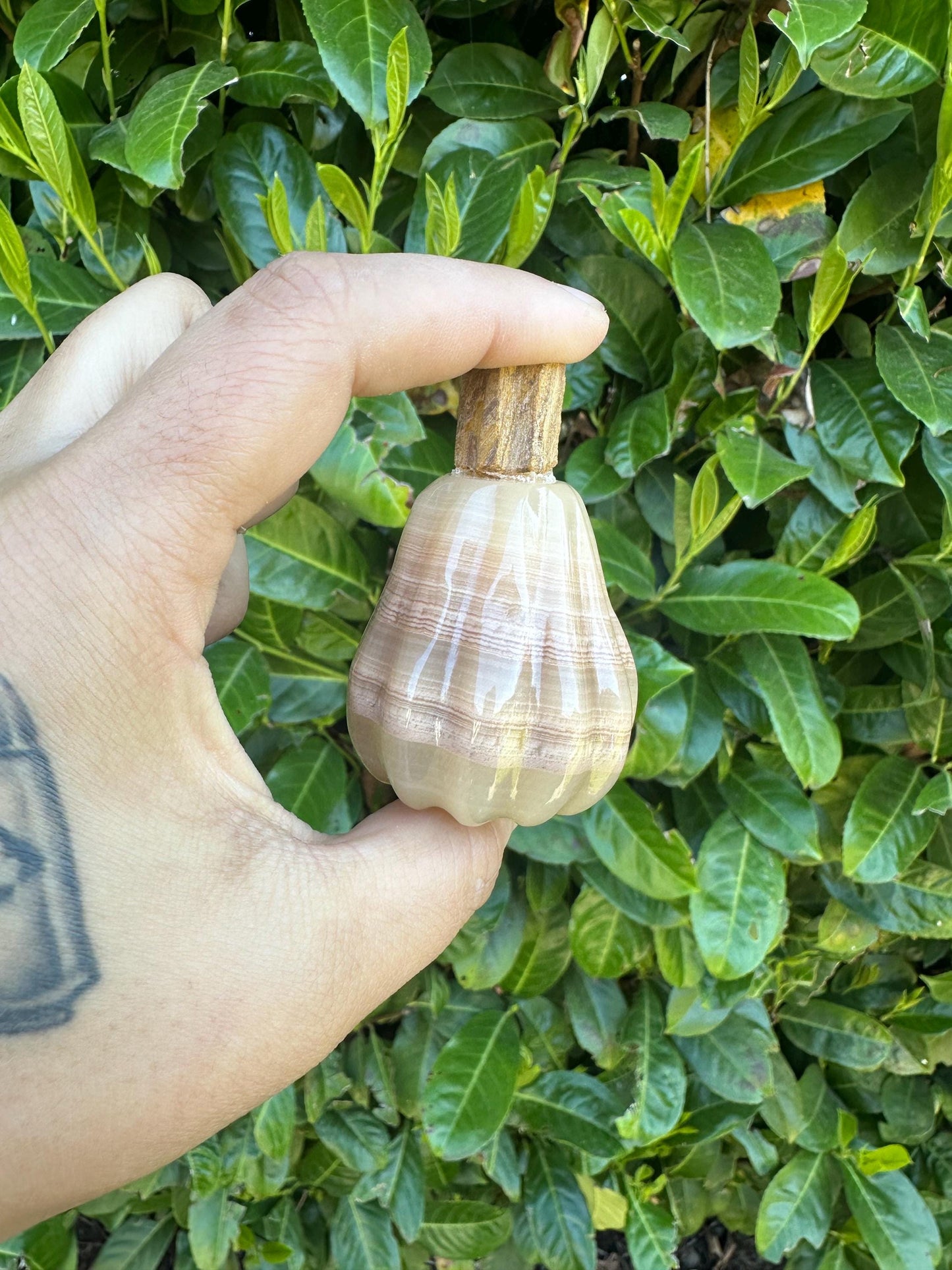 Mexican Onyx Squash Shaped Crystal Carving