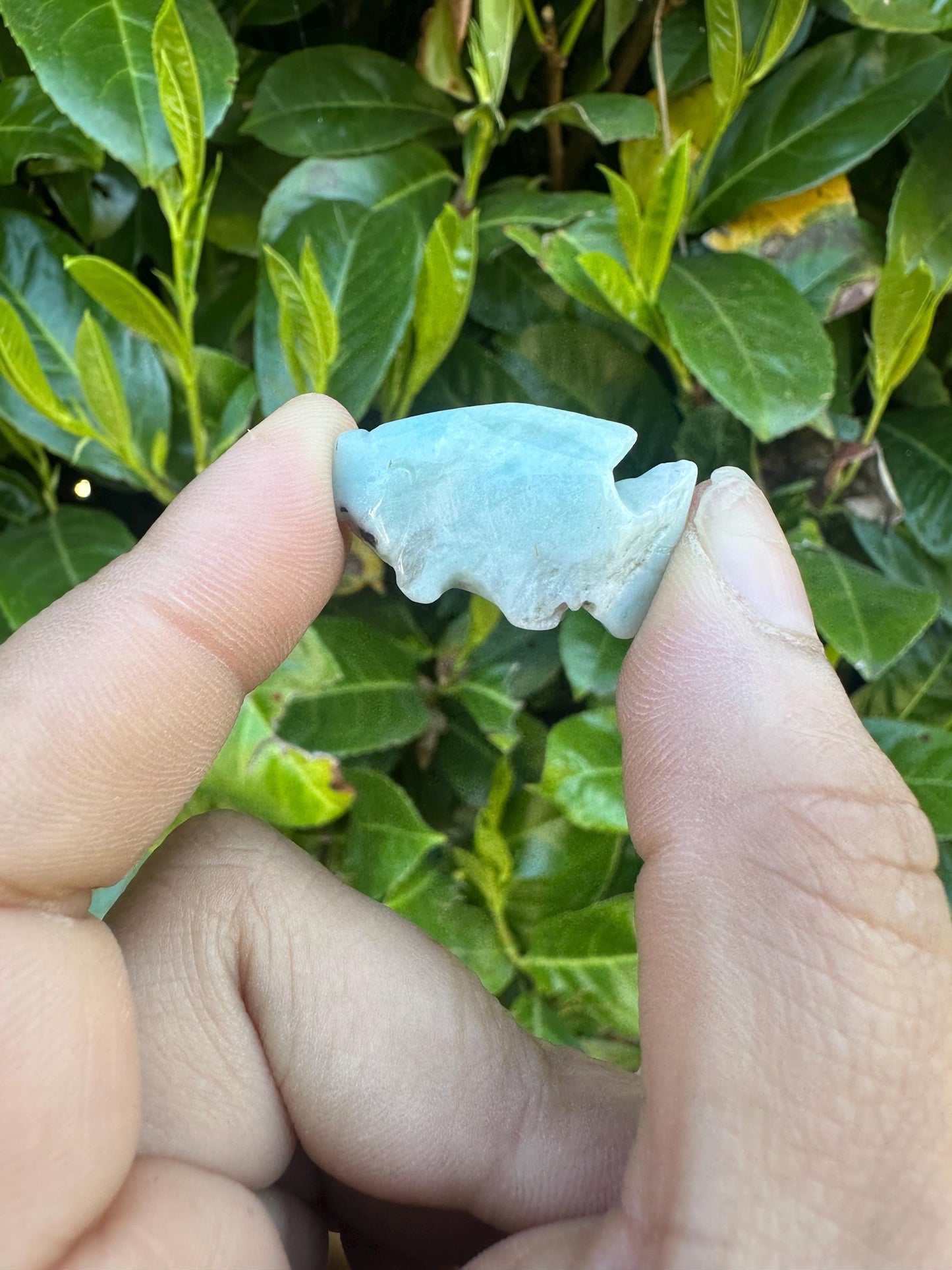 Mini Larimar Fish Crystal Carving