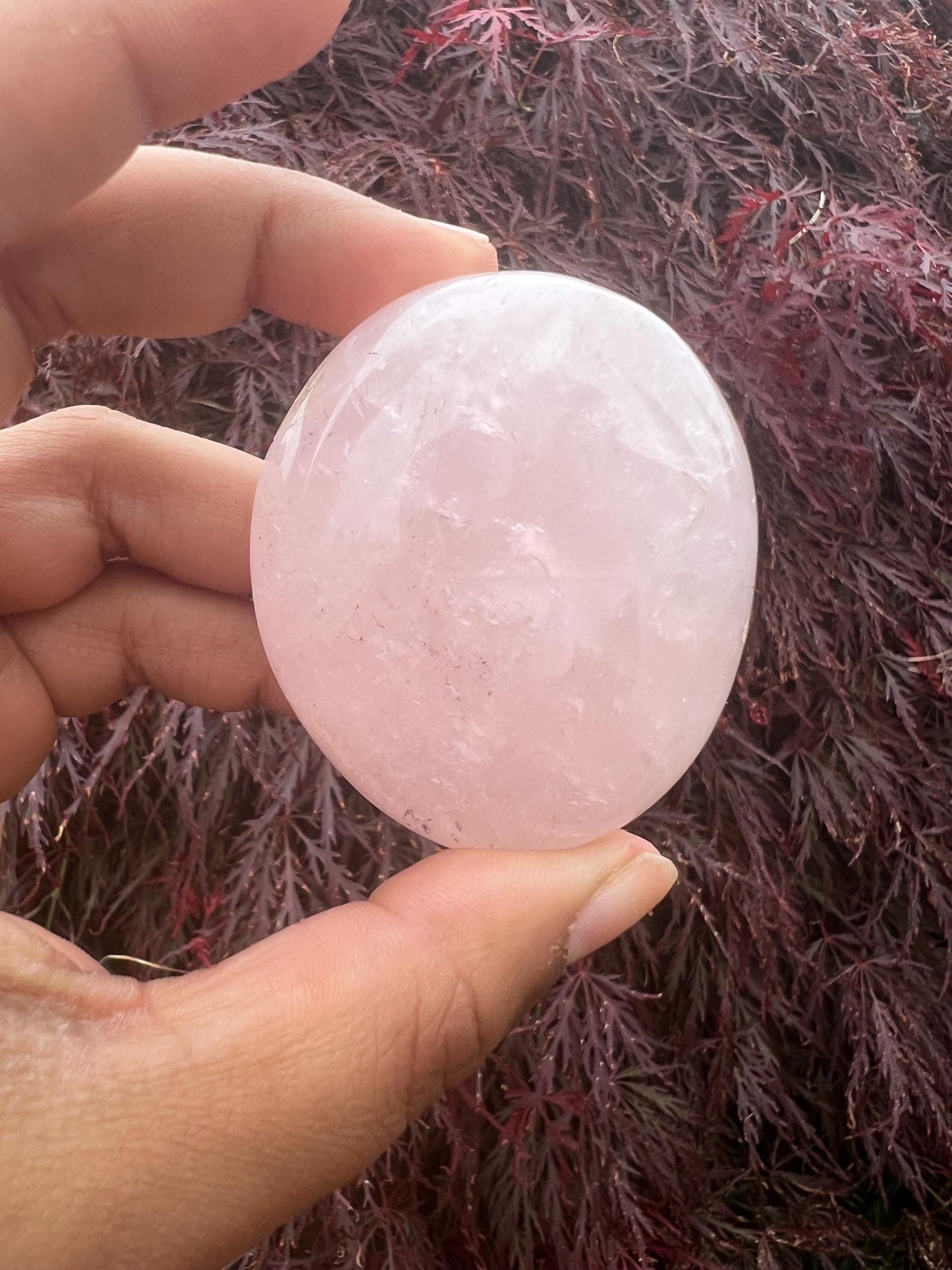 Rose Quartz Palm Stone Carvings