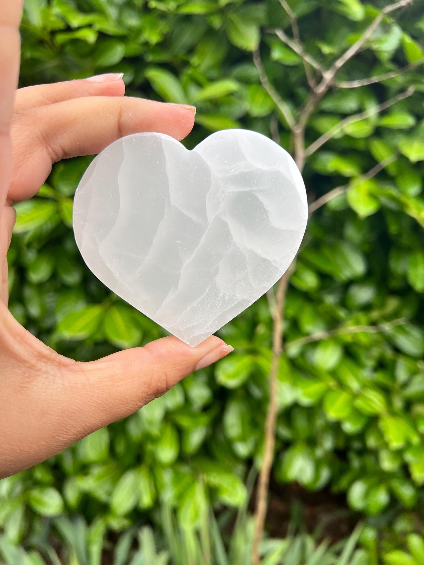 Selenite Charging Plates Crystal Carvings