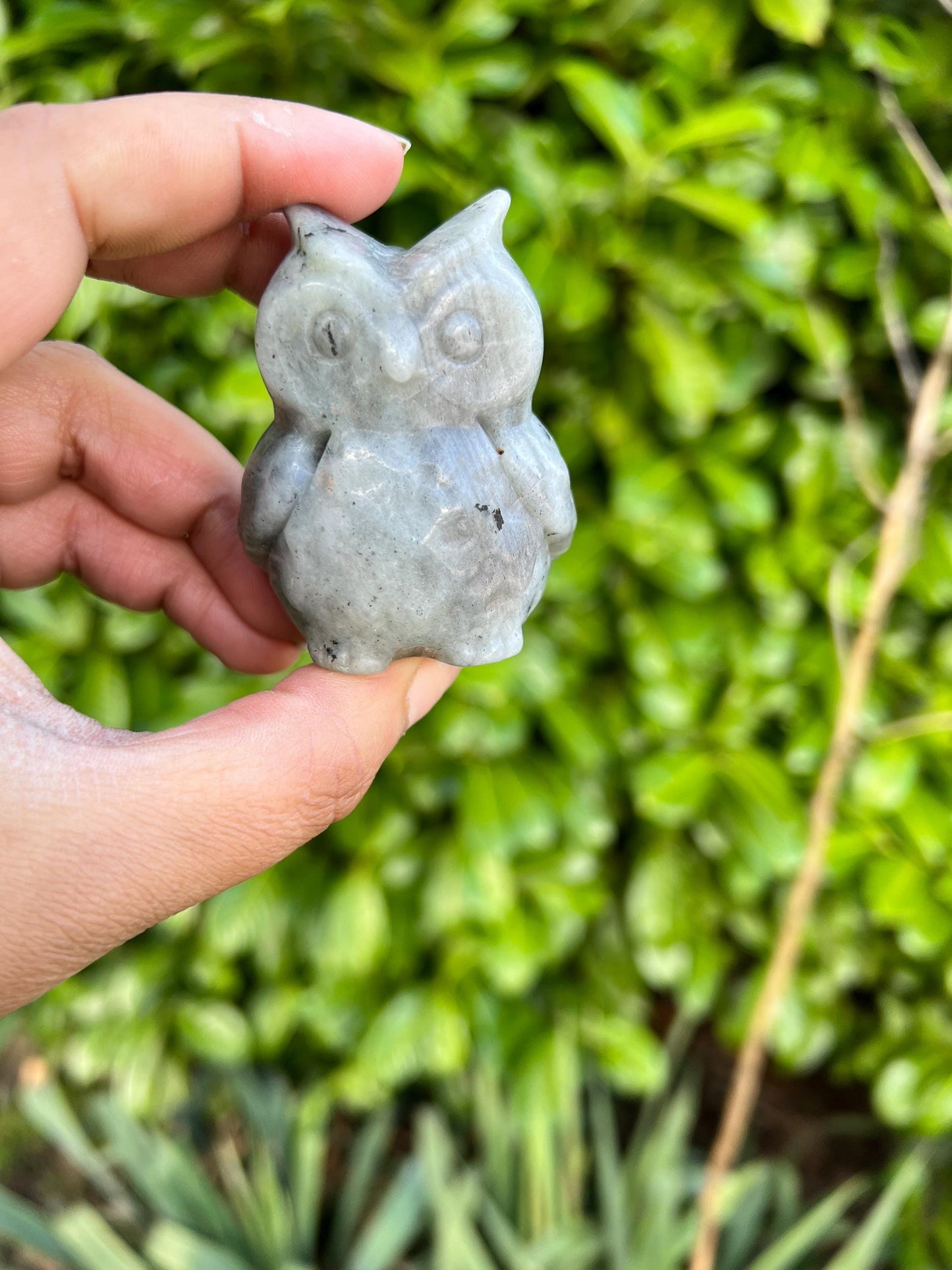 Labradorite Owl Crystal Carving
