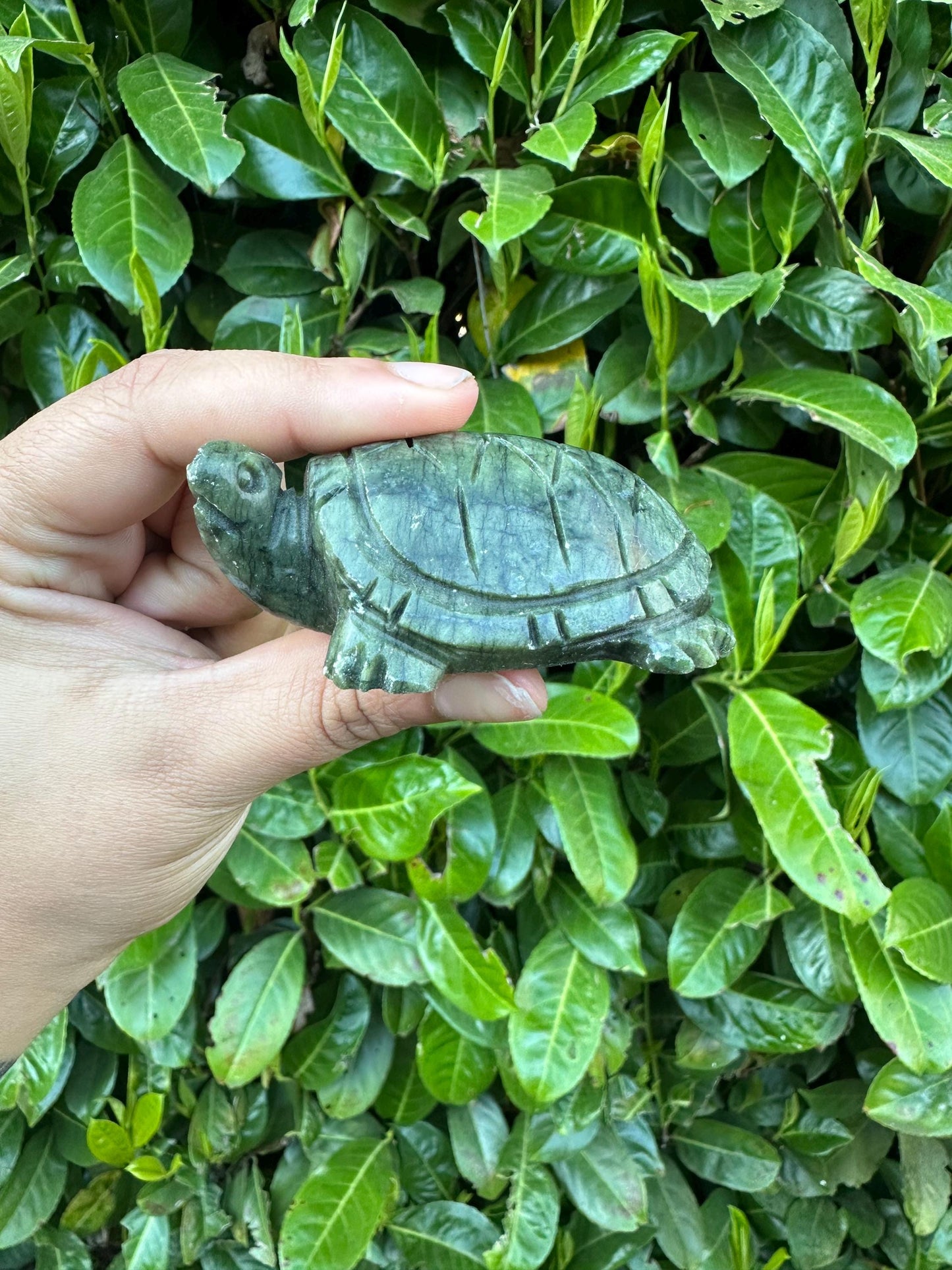 Serpentine Jade Turtle Crystal Carving
