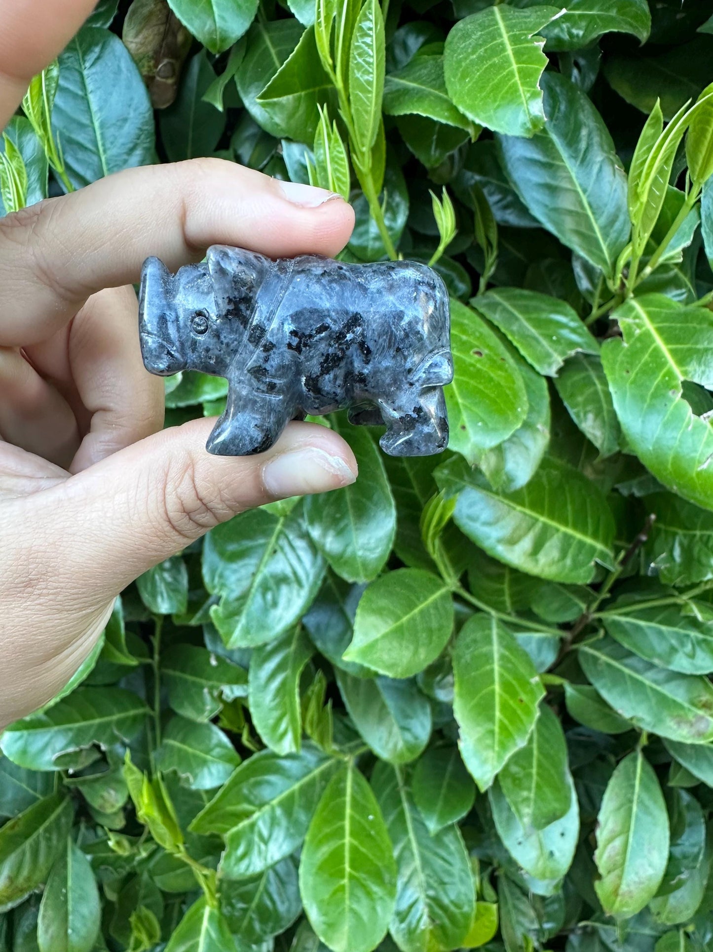 Larvikite Rhino Crystal Carving