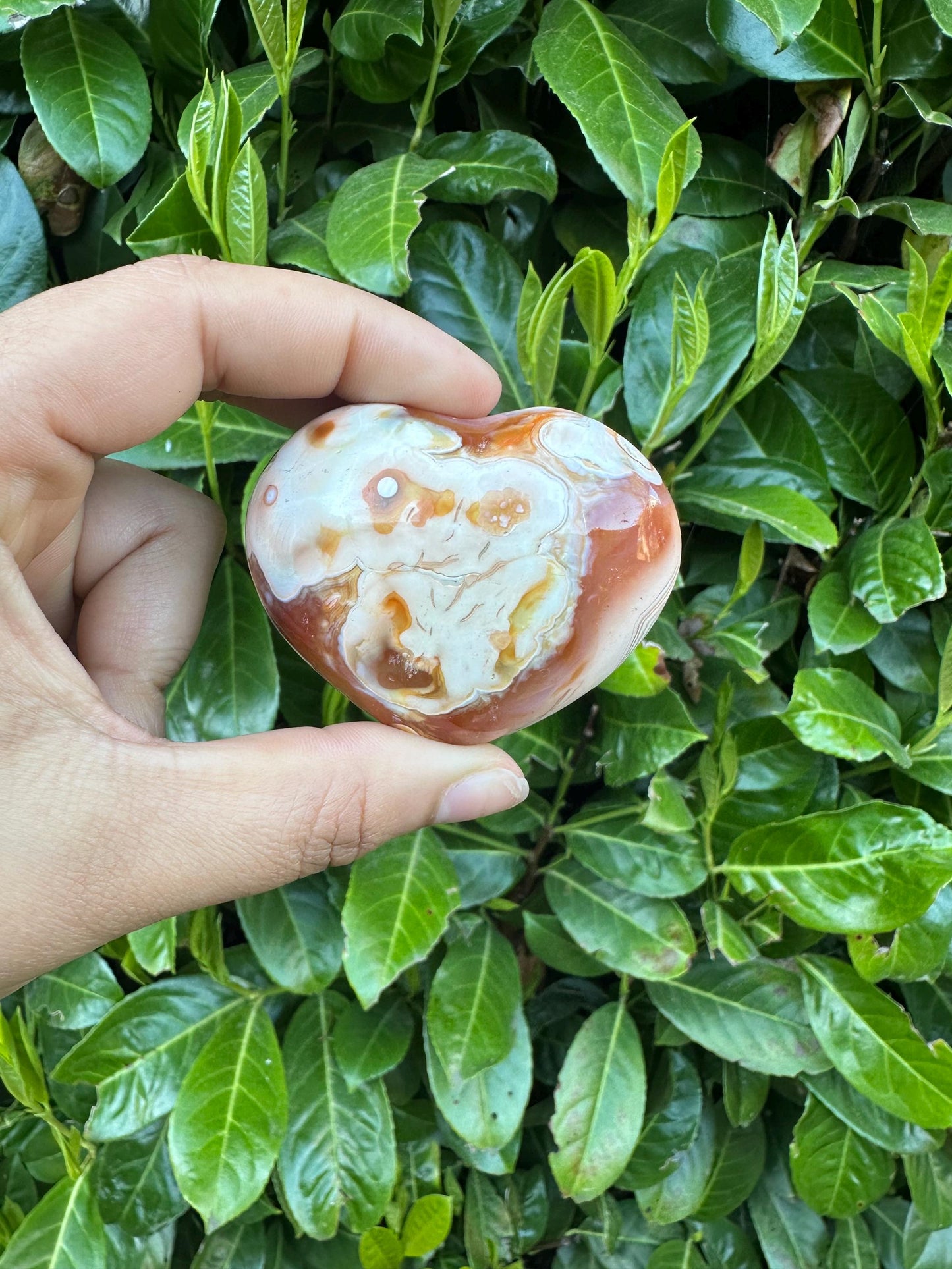 Carnelian Puffy Heart Crystal Carving