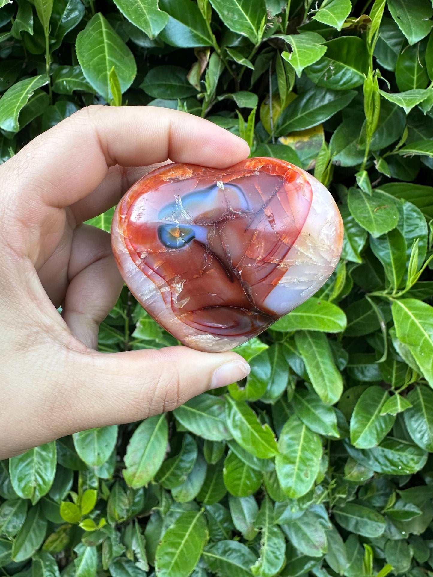 Carnelian Puffy Heart Crystal Carving