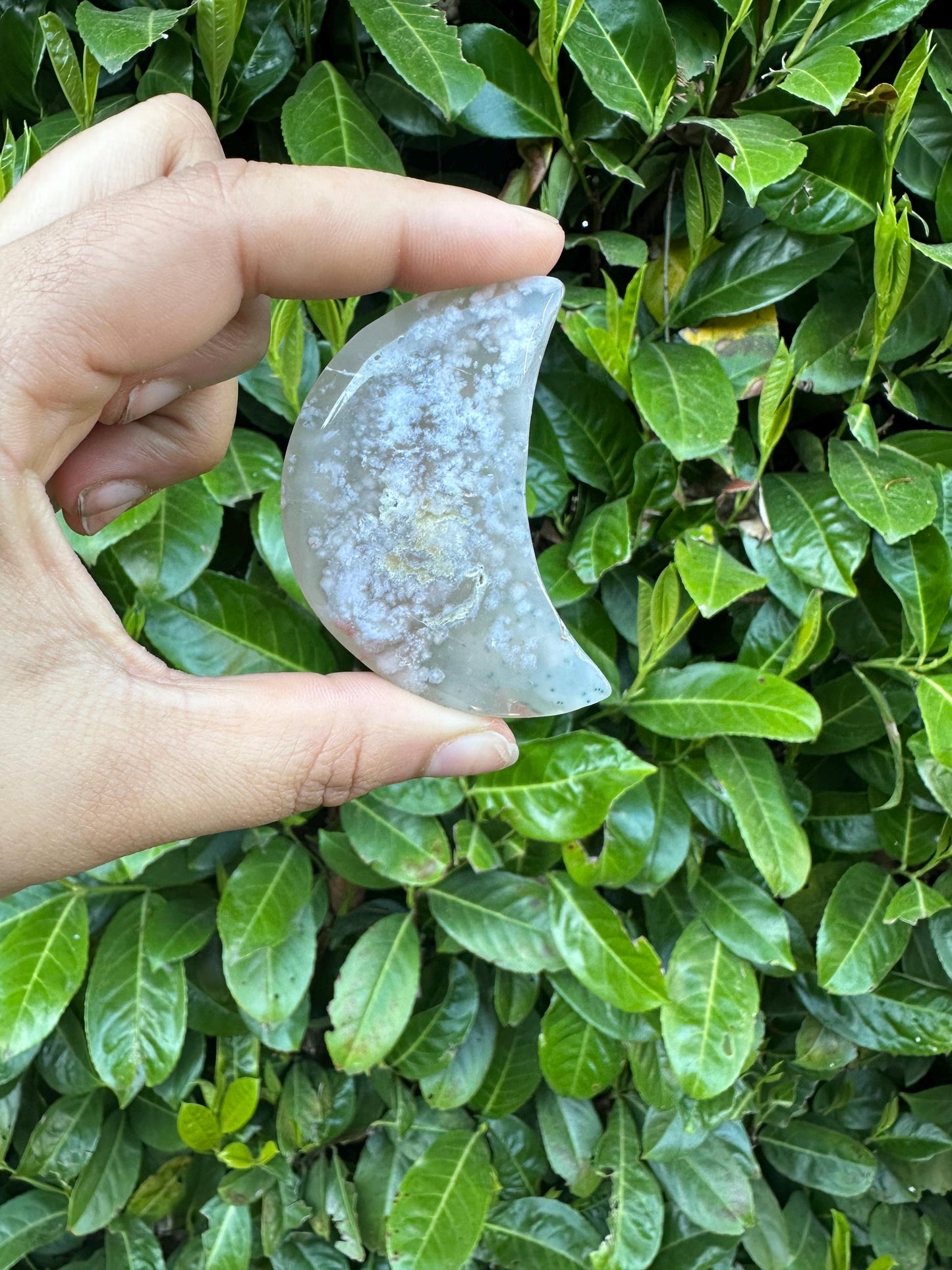 Flower Agate Crescent Moon Crystal Carving