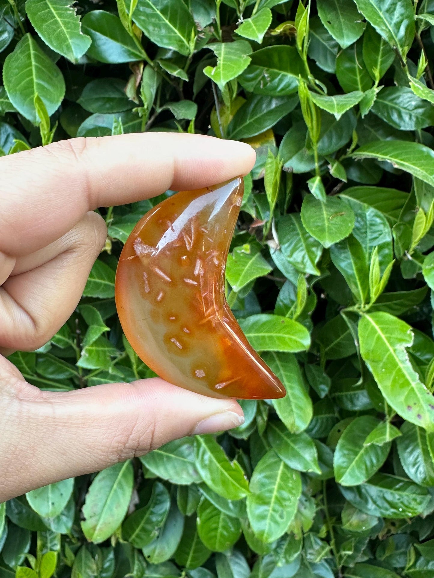 Carnelian Puffy Crescent Moon Crystal Carving